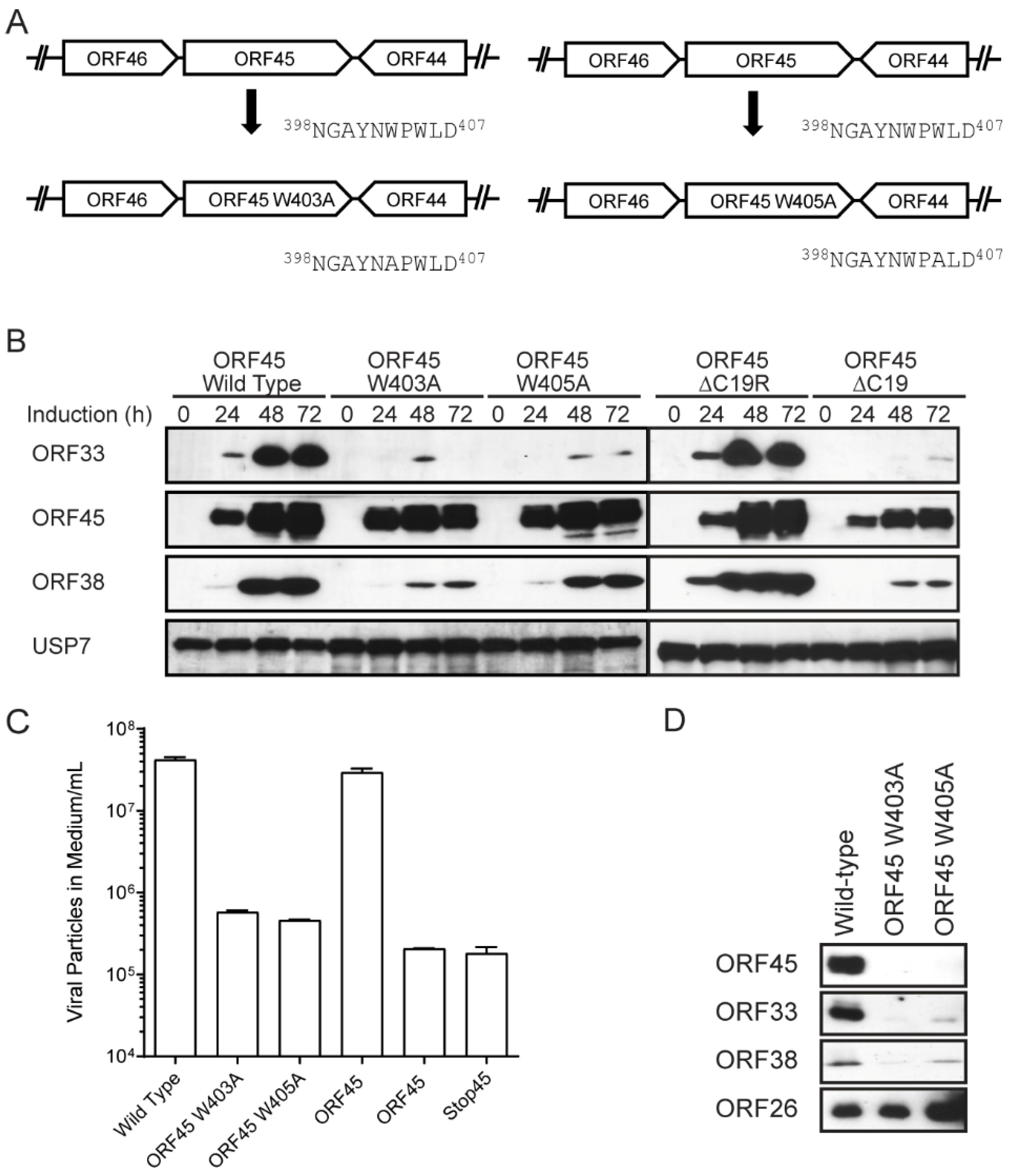 Viruses 13 01828 g006
