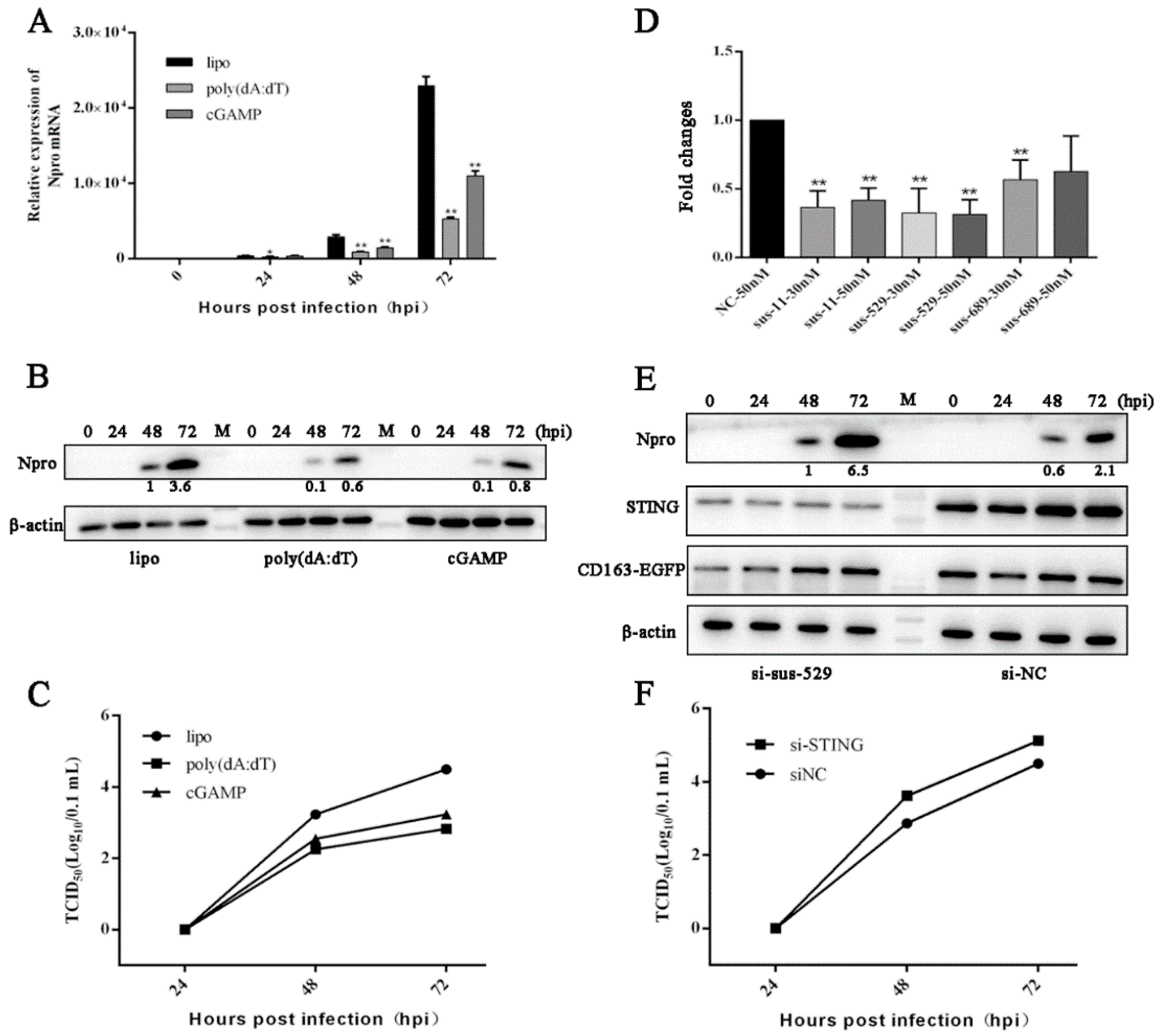 Viruses 13 01829 g005 550