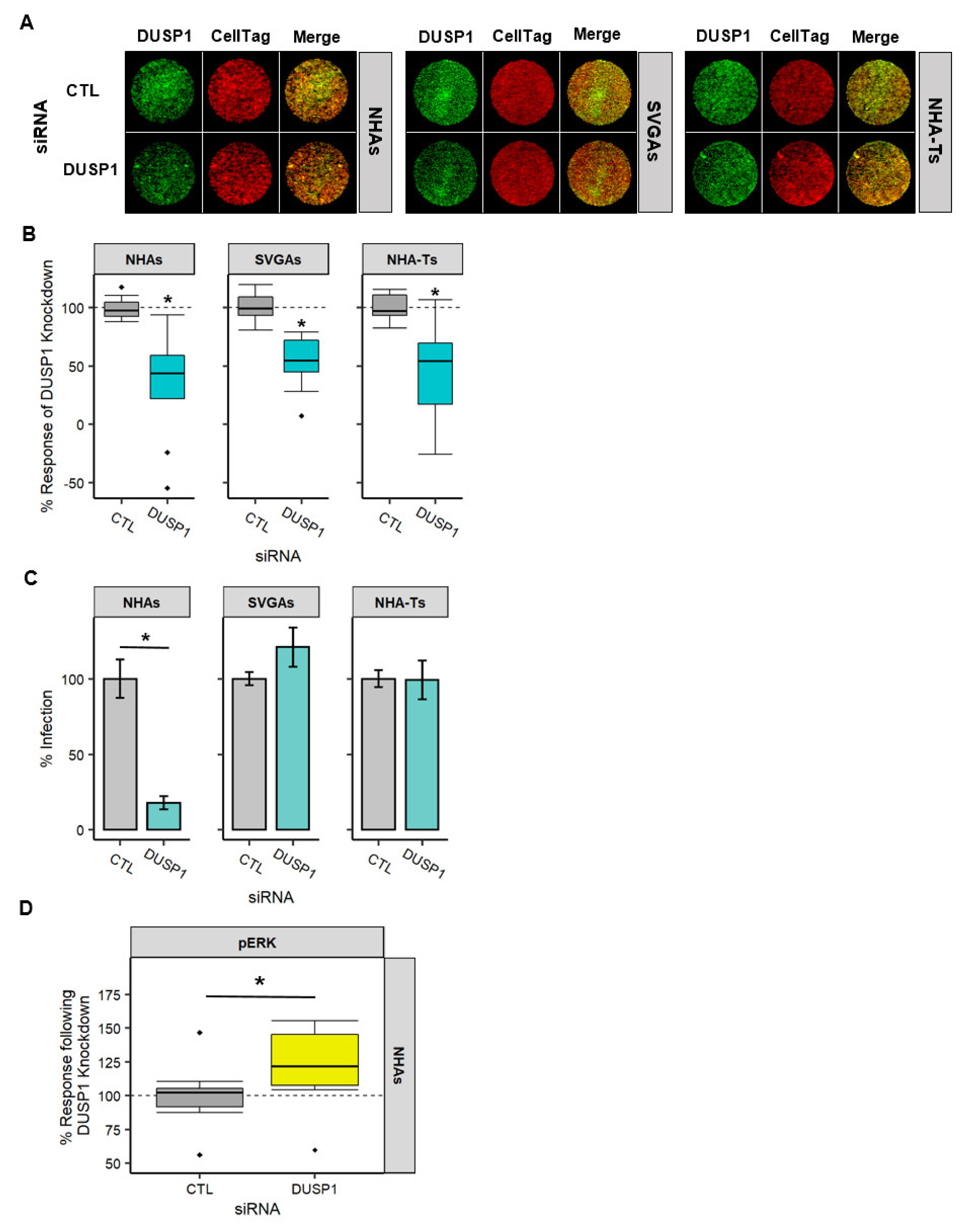 Viruses 13 01834 g005