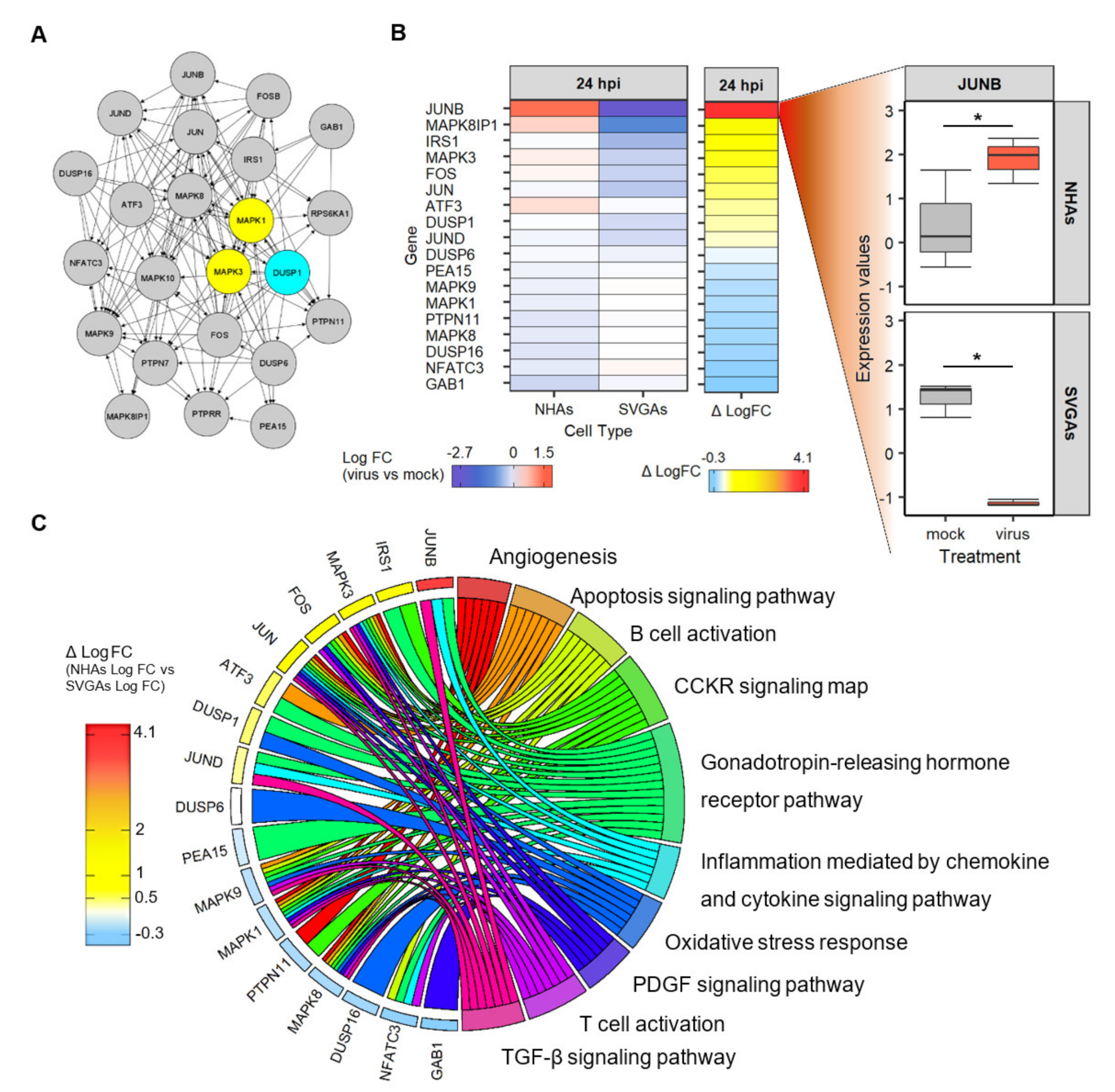 Viruses 13 01834 g006
