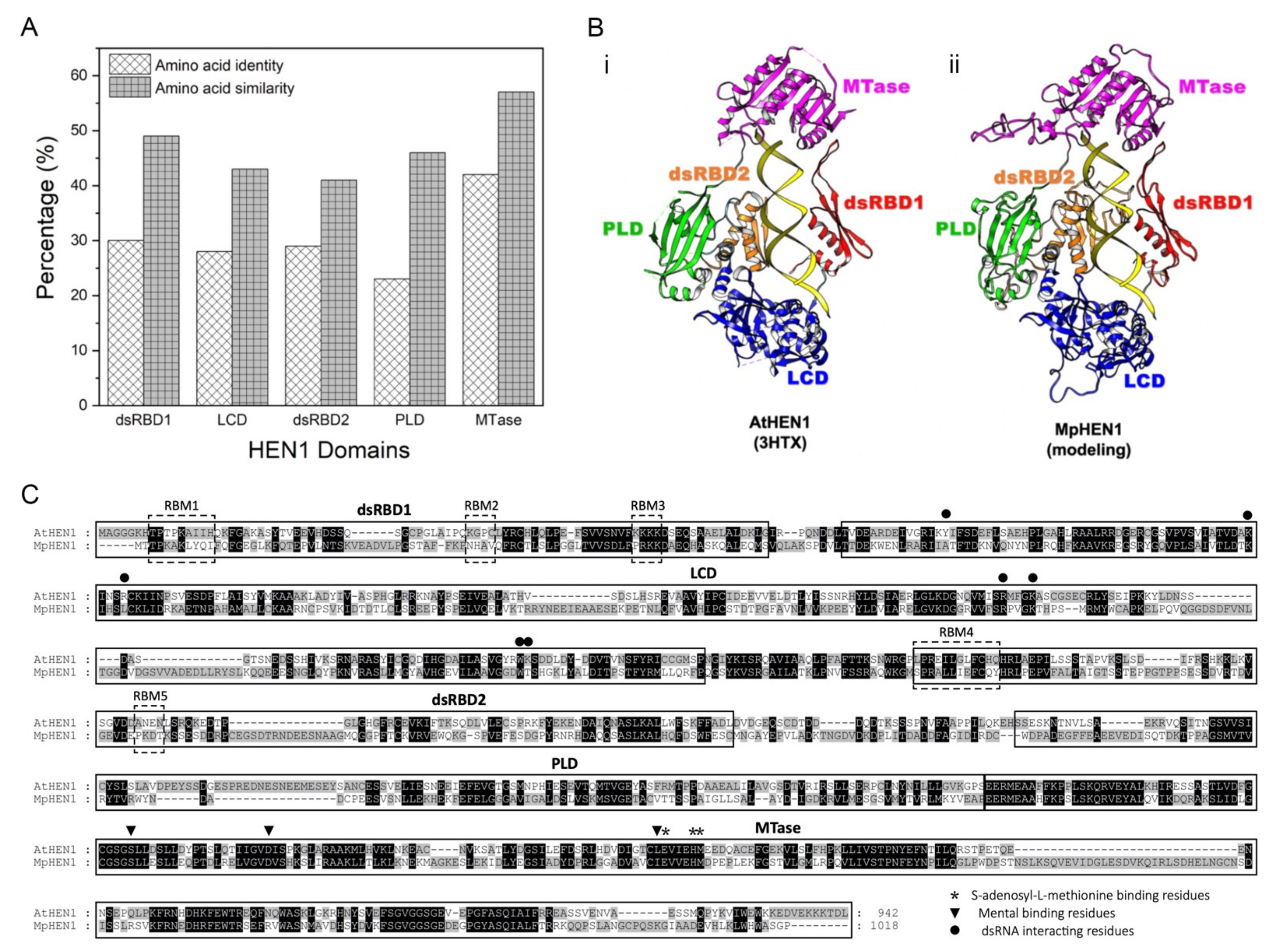 Viruses 13 01837 g007
