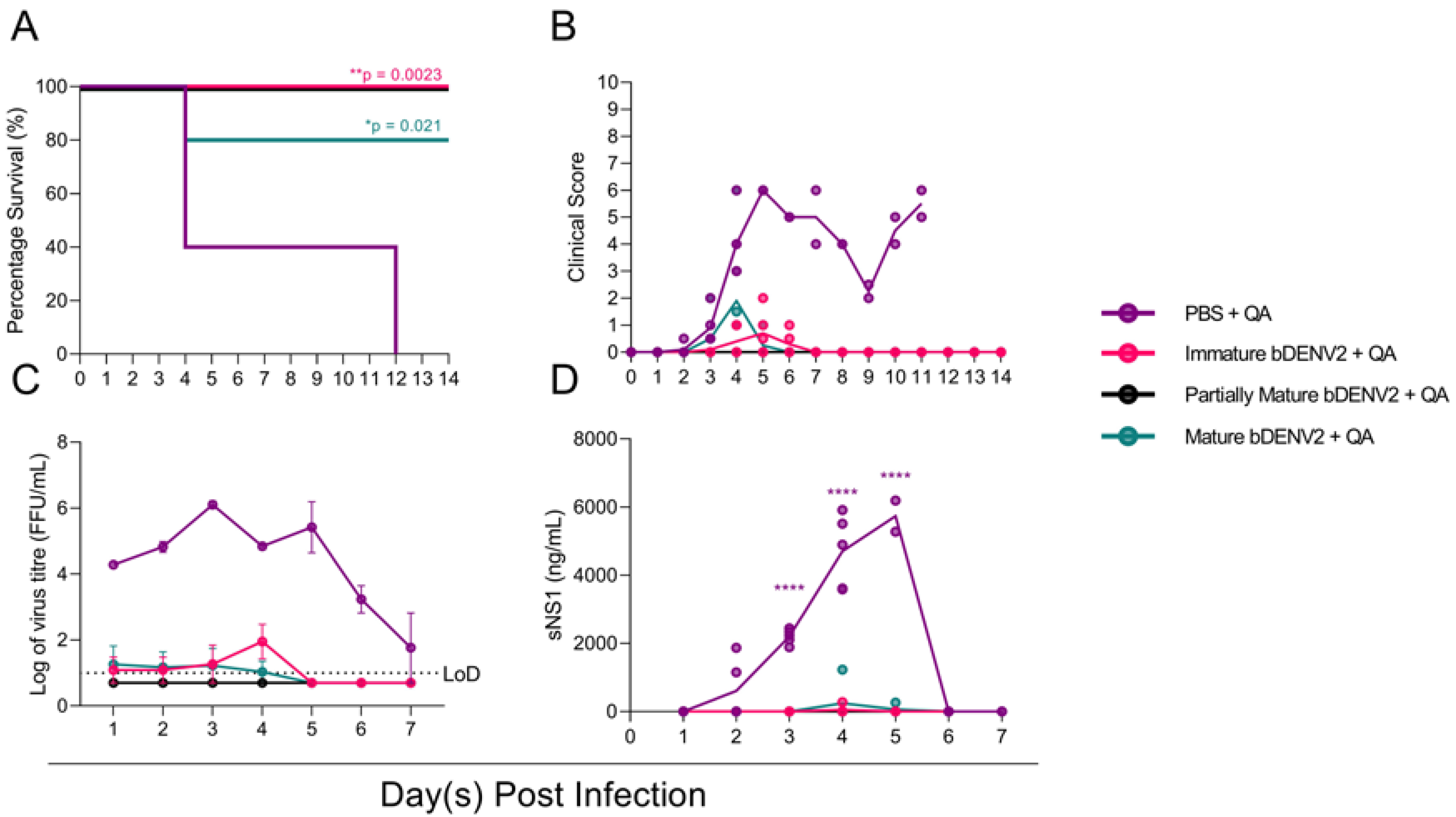 Viruses 13 01843 g003