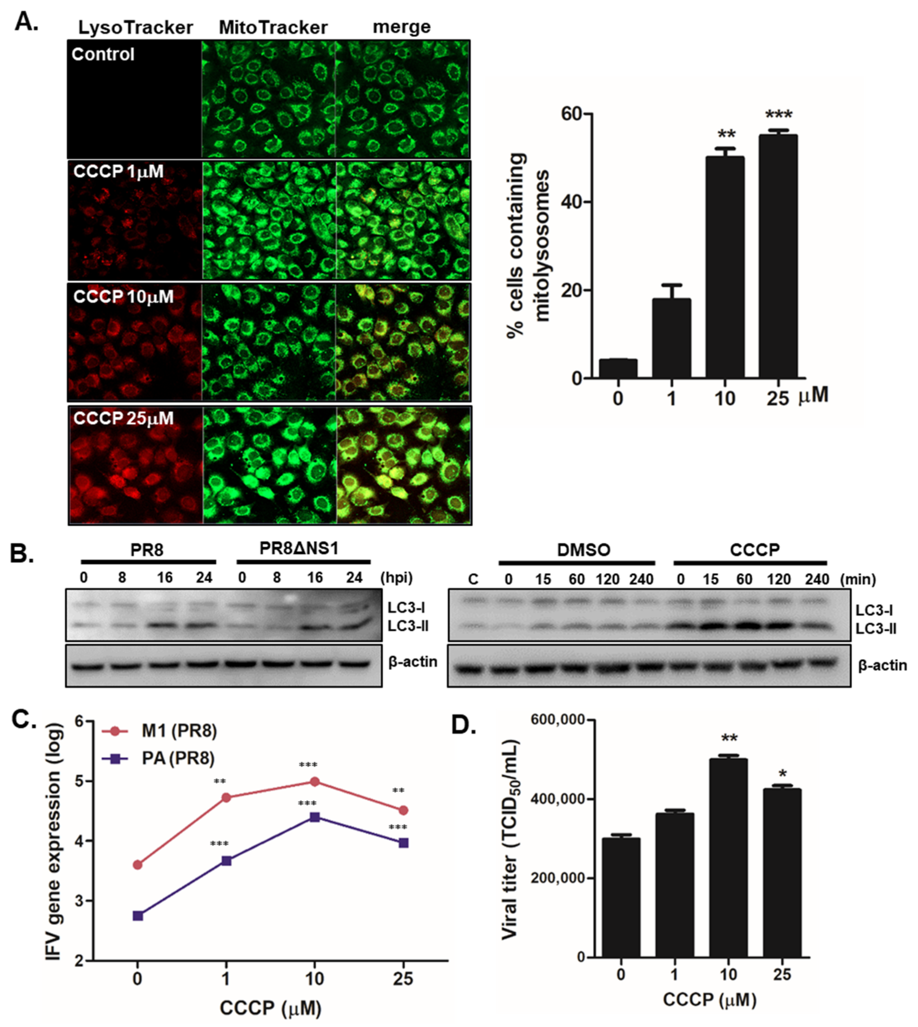 Viruses 13 01845 g002 550