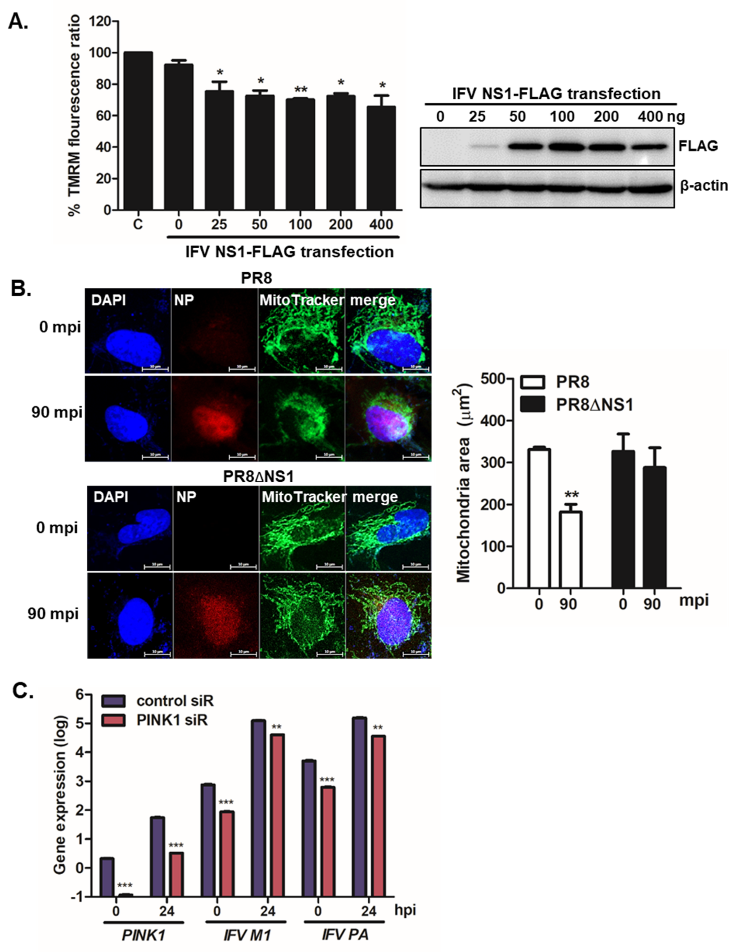 Viruses 13 01845 g003 550