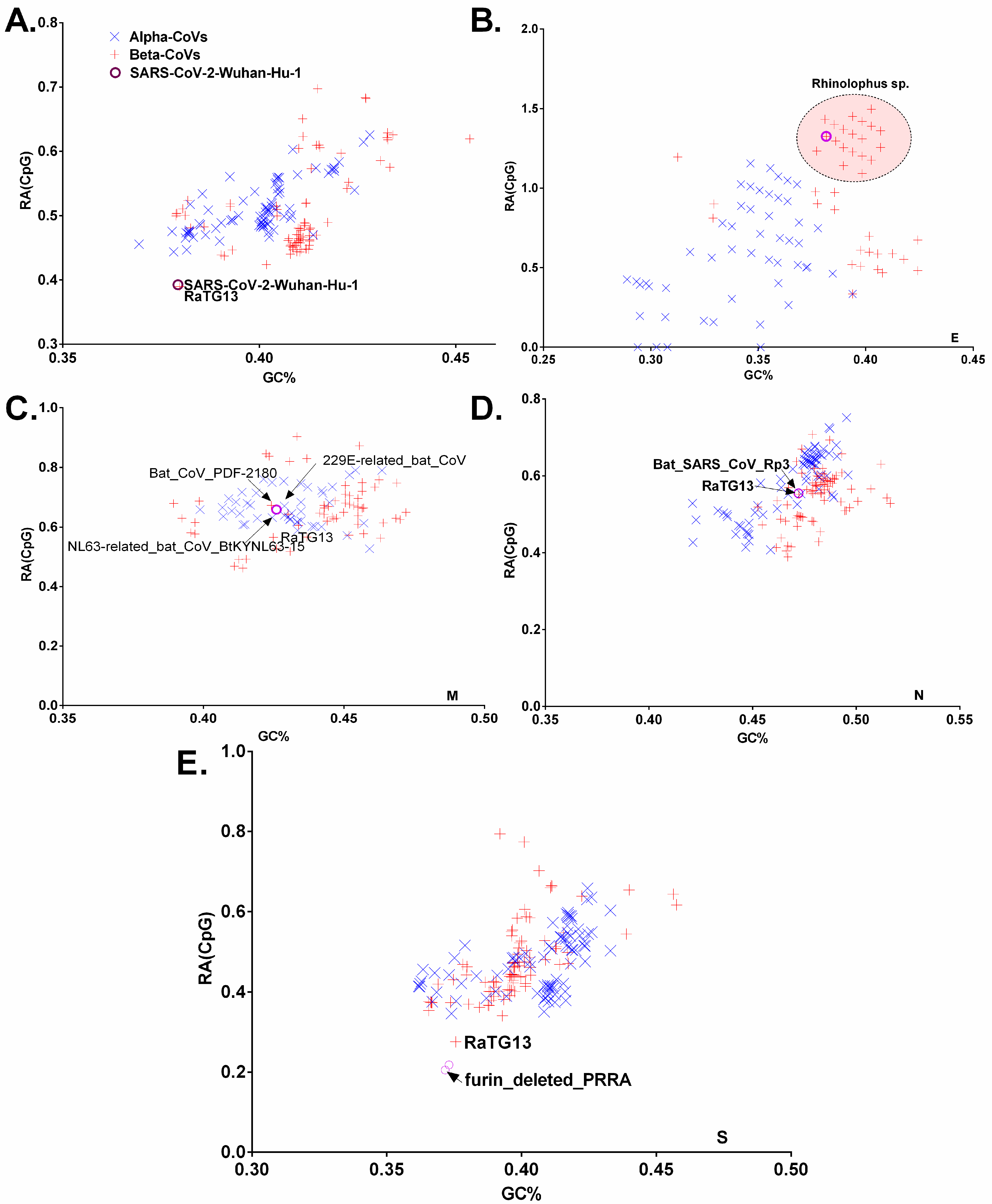 Viruses 13 01847 g004