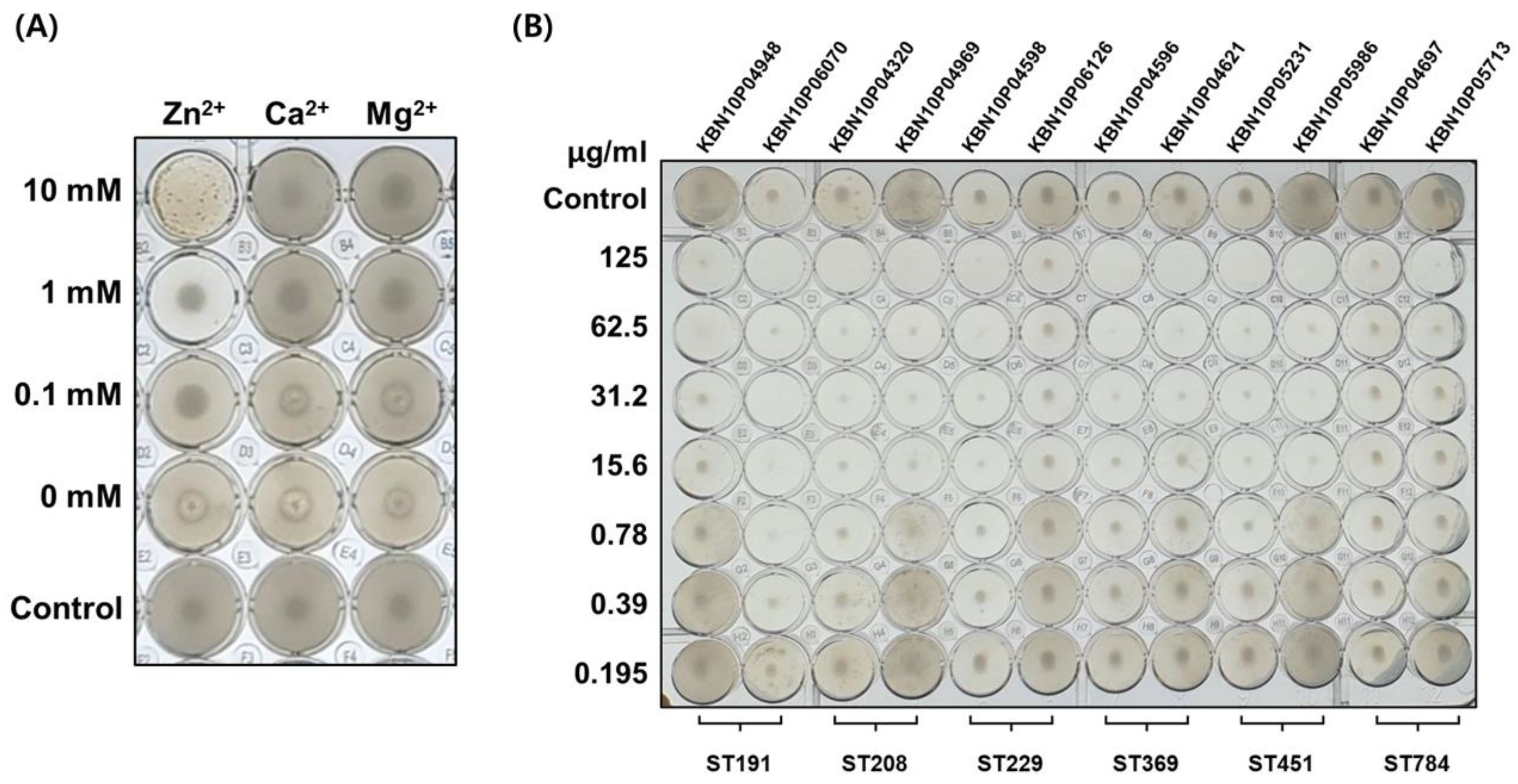 Viruses 13 01848 g005