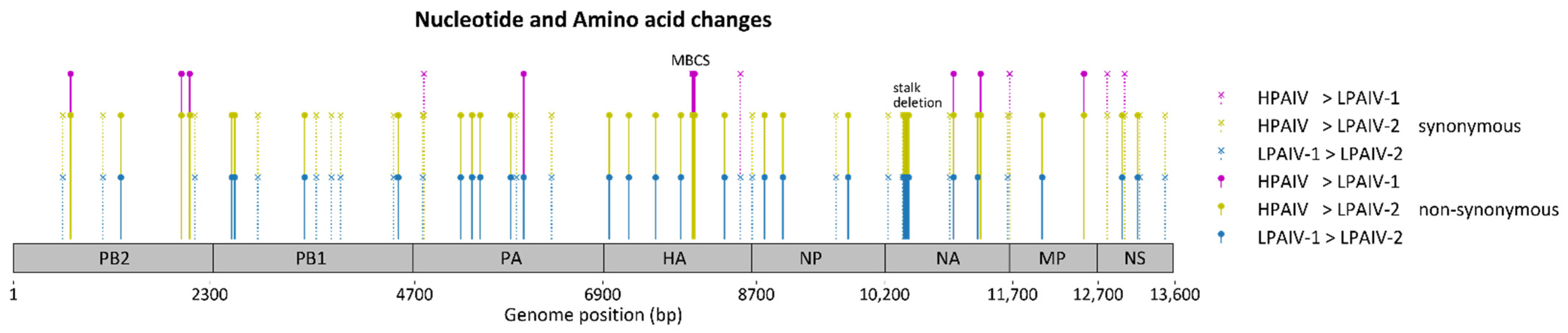 Viruses 13 01851 g005