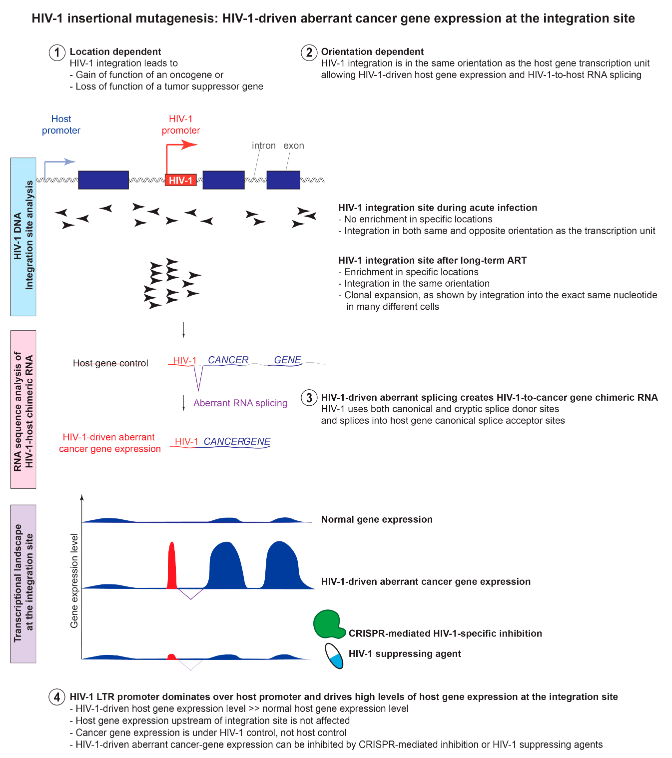 Viruses 13 01858 g002 550