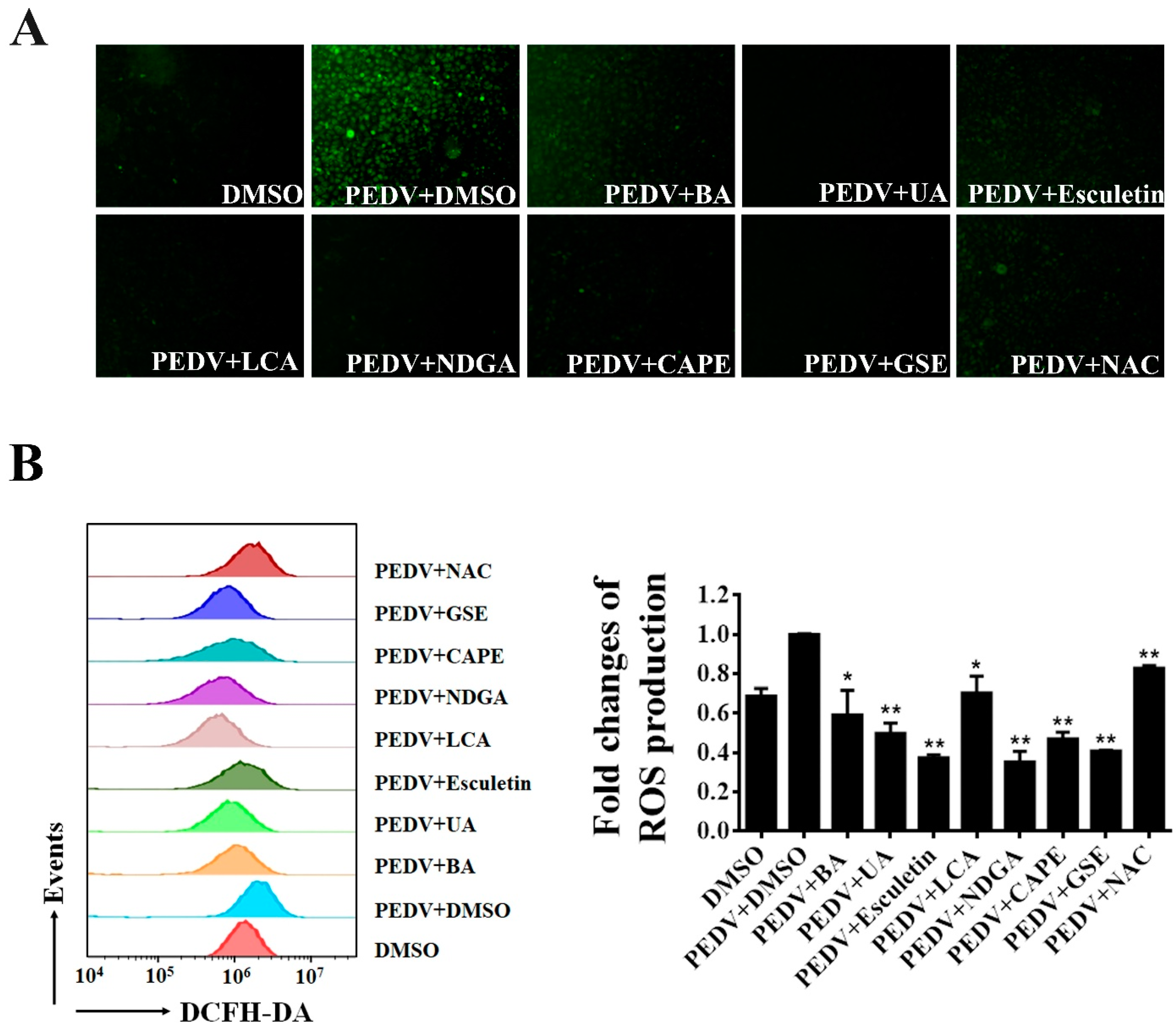 Viruses 13 01866 g006 550
