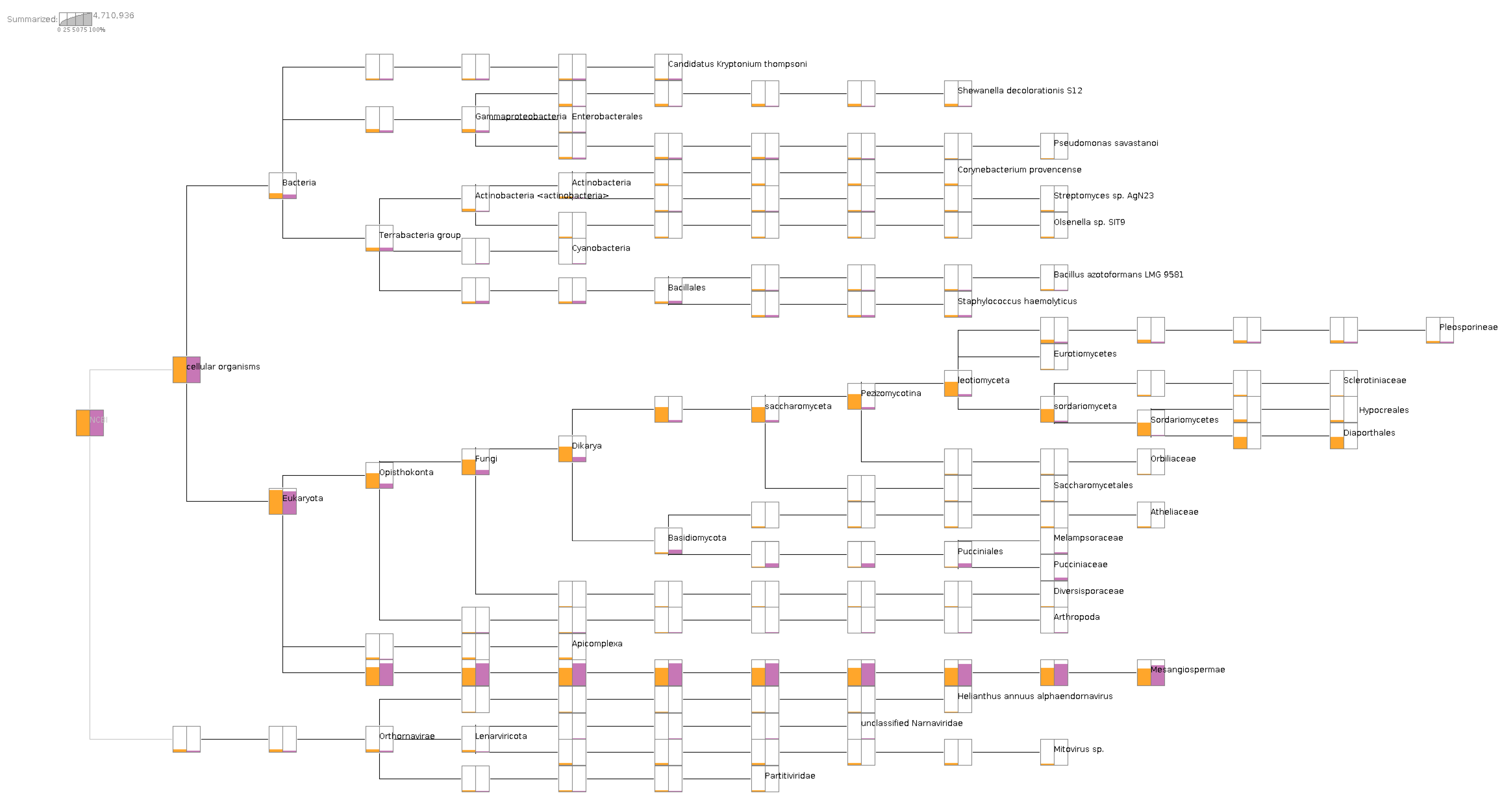 Viruses 13 01867 g001