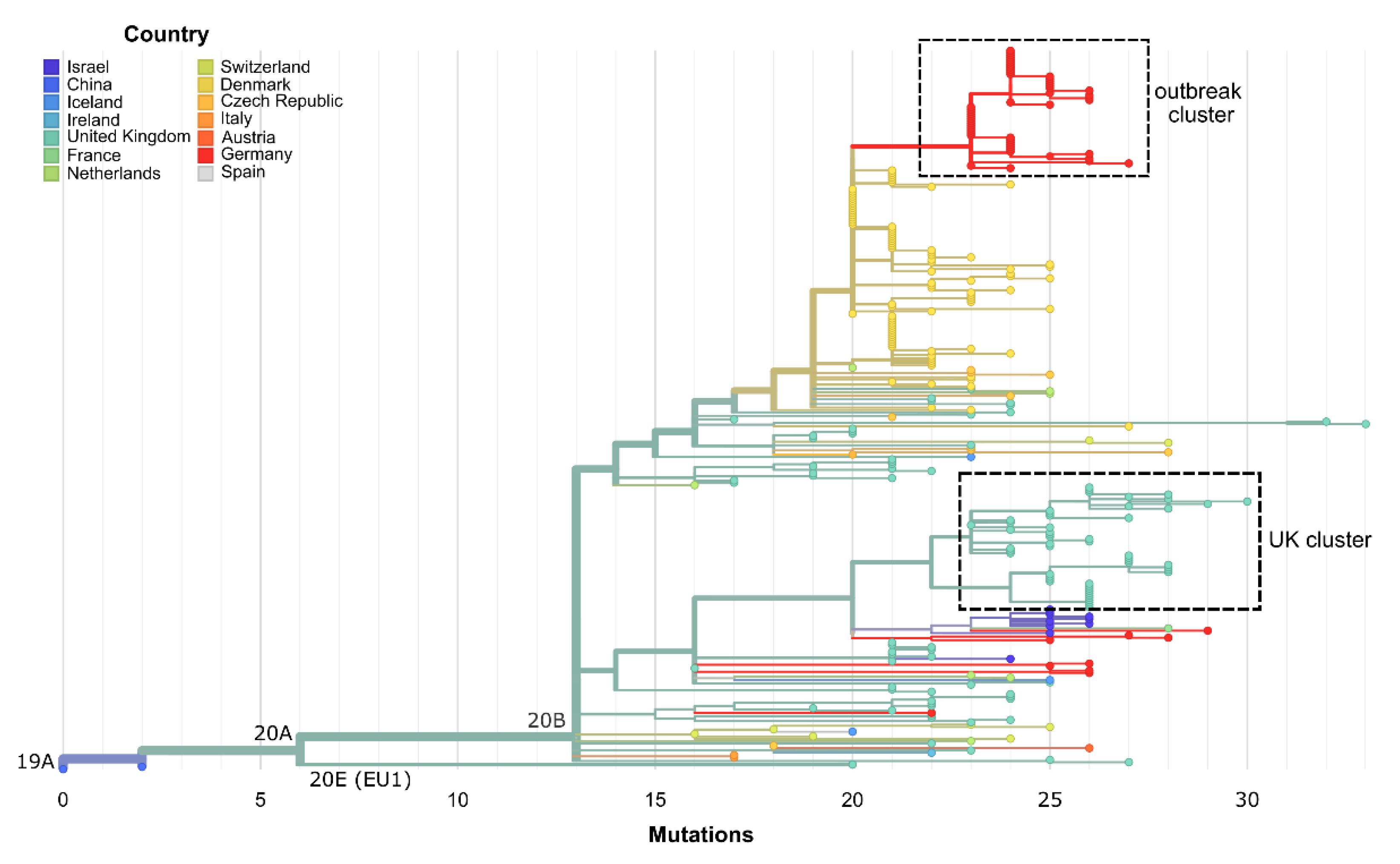 Viruses 13 01870 g003 550