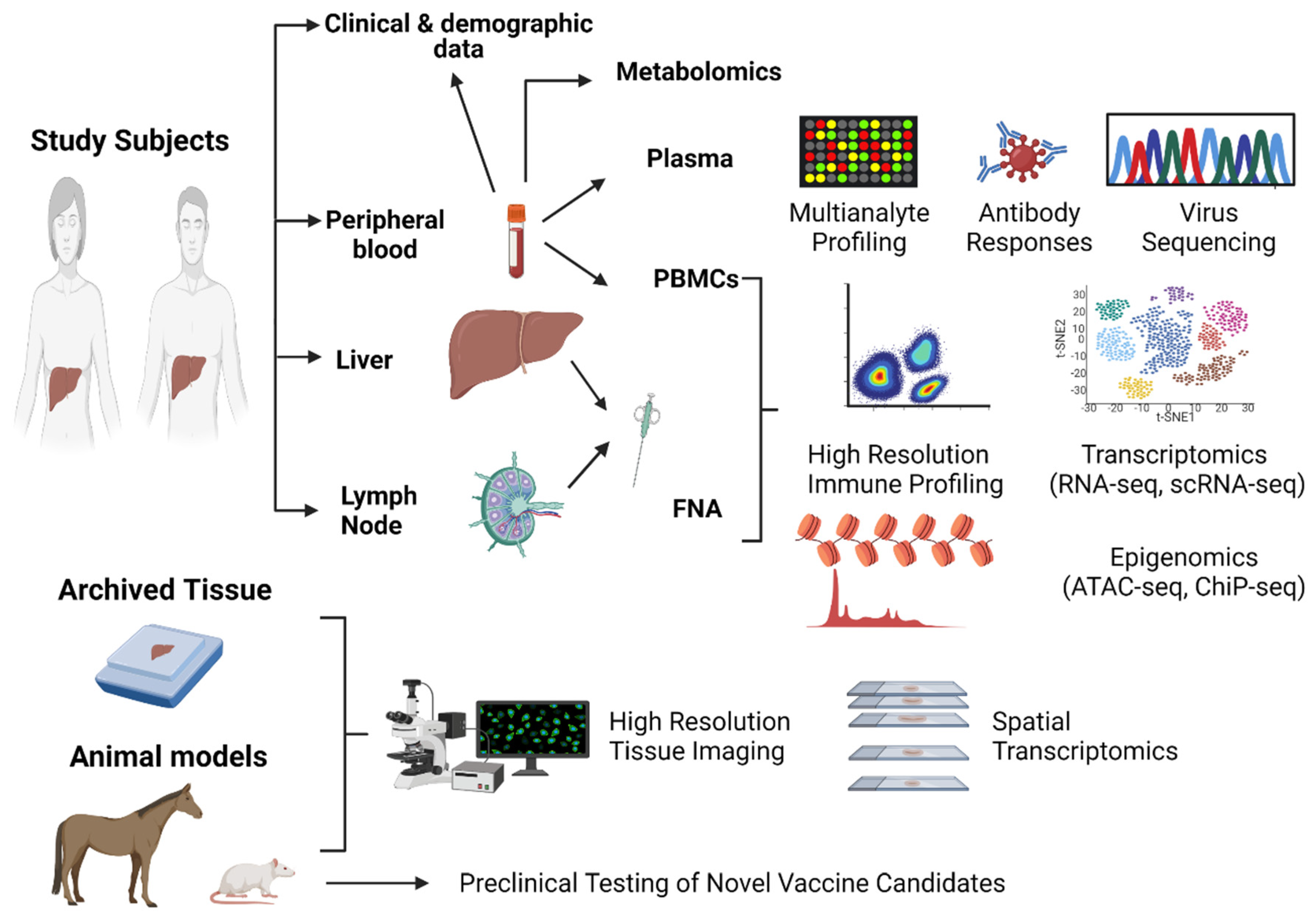Viruses 13 01871 g002