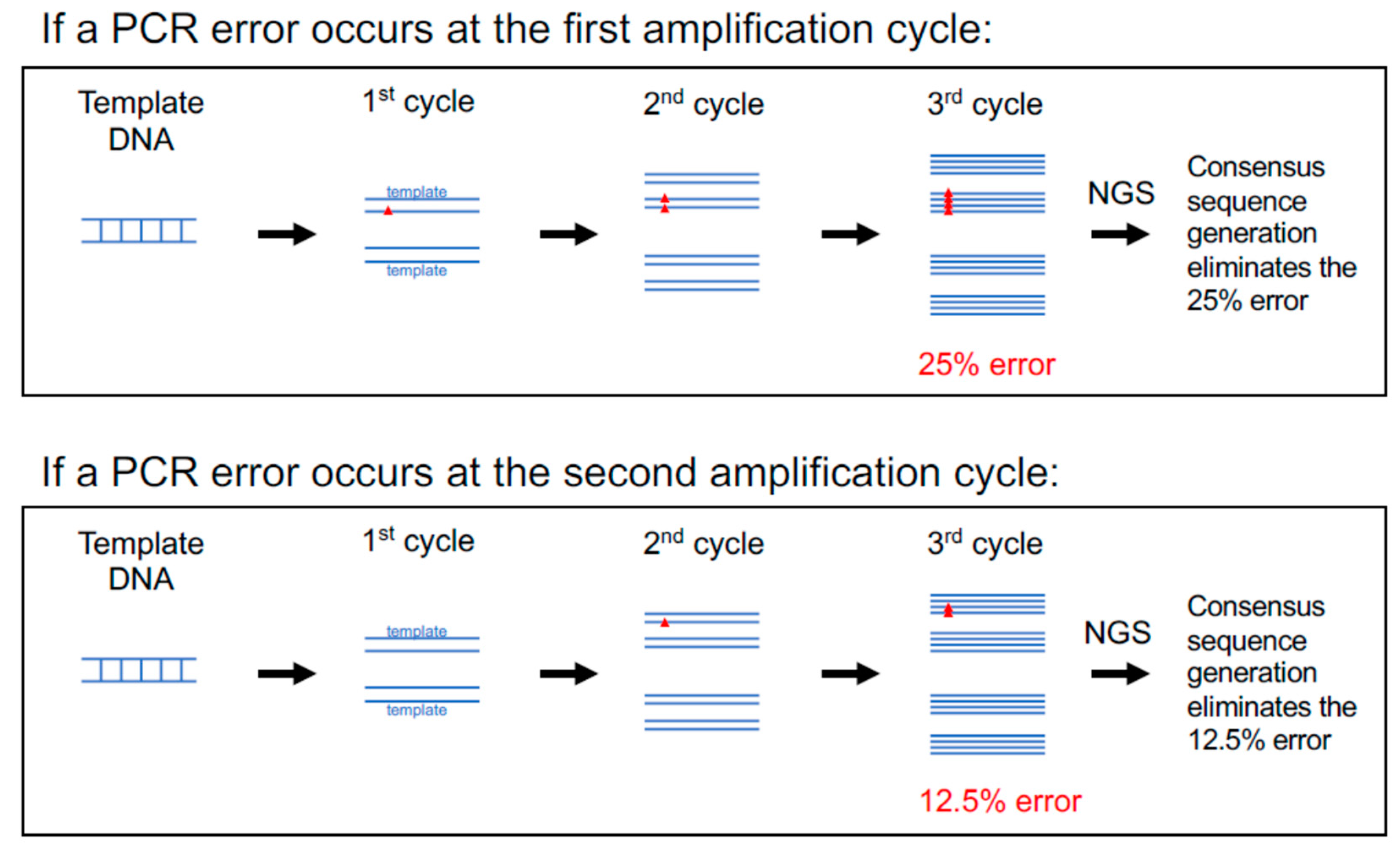 Viruses 13 01874 g003 550