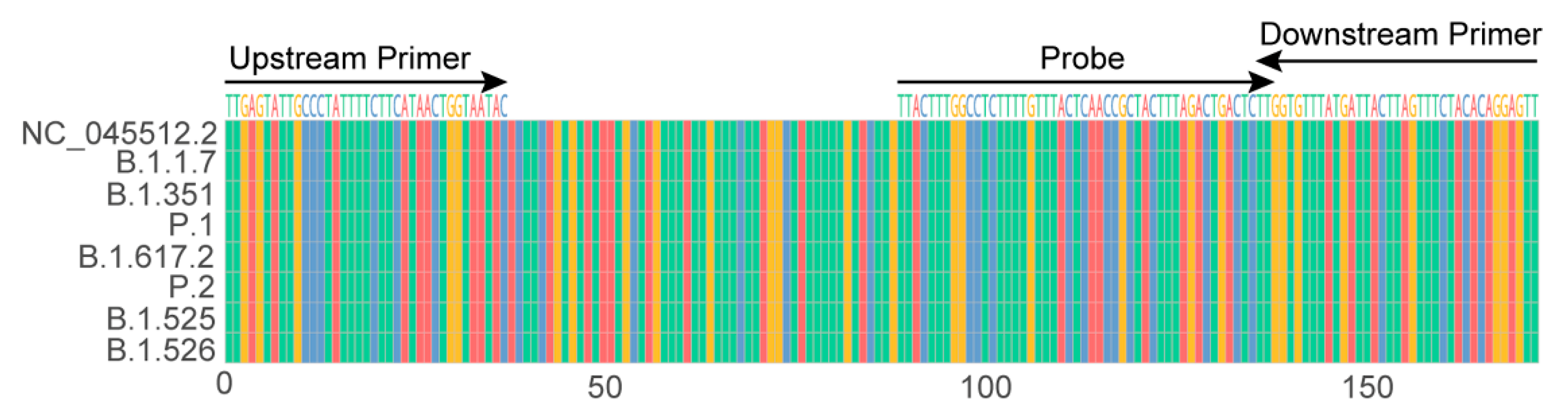 Viruses 13 01875 g001