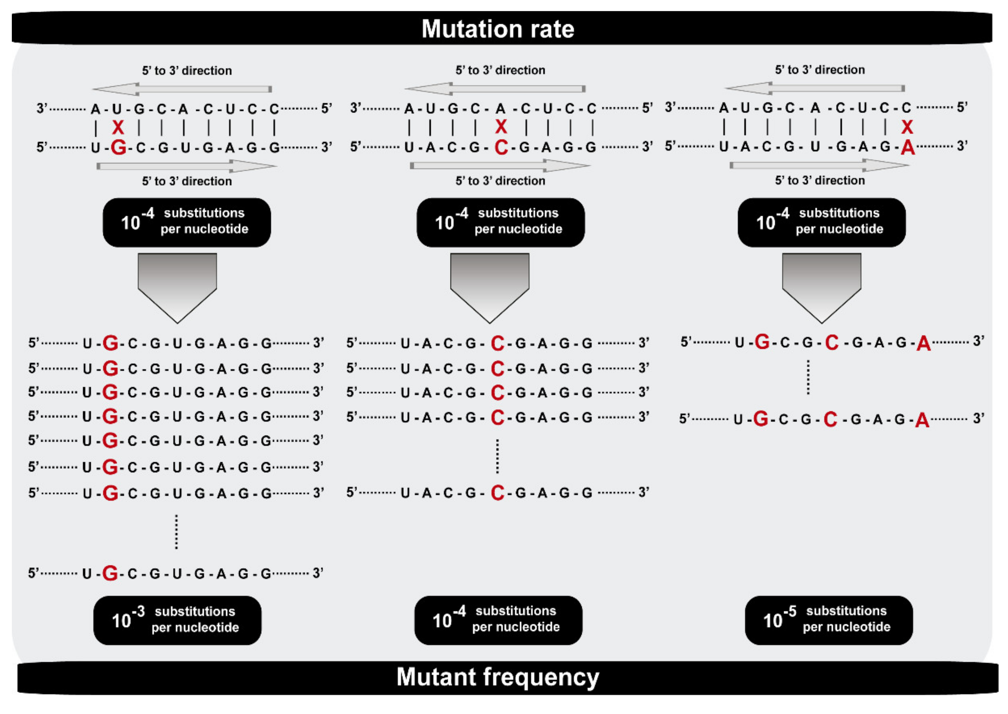 Viruses 13 01882 g001 Viruses 13 01882 g001