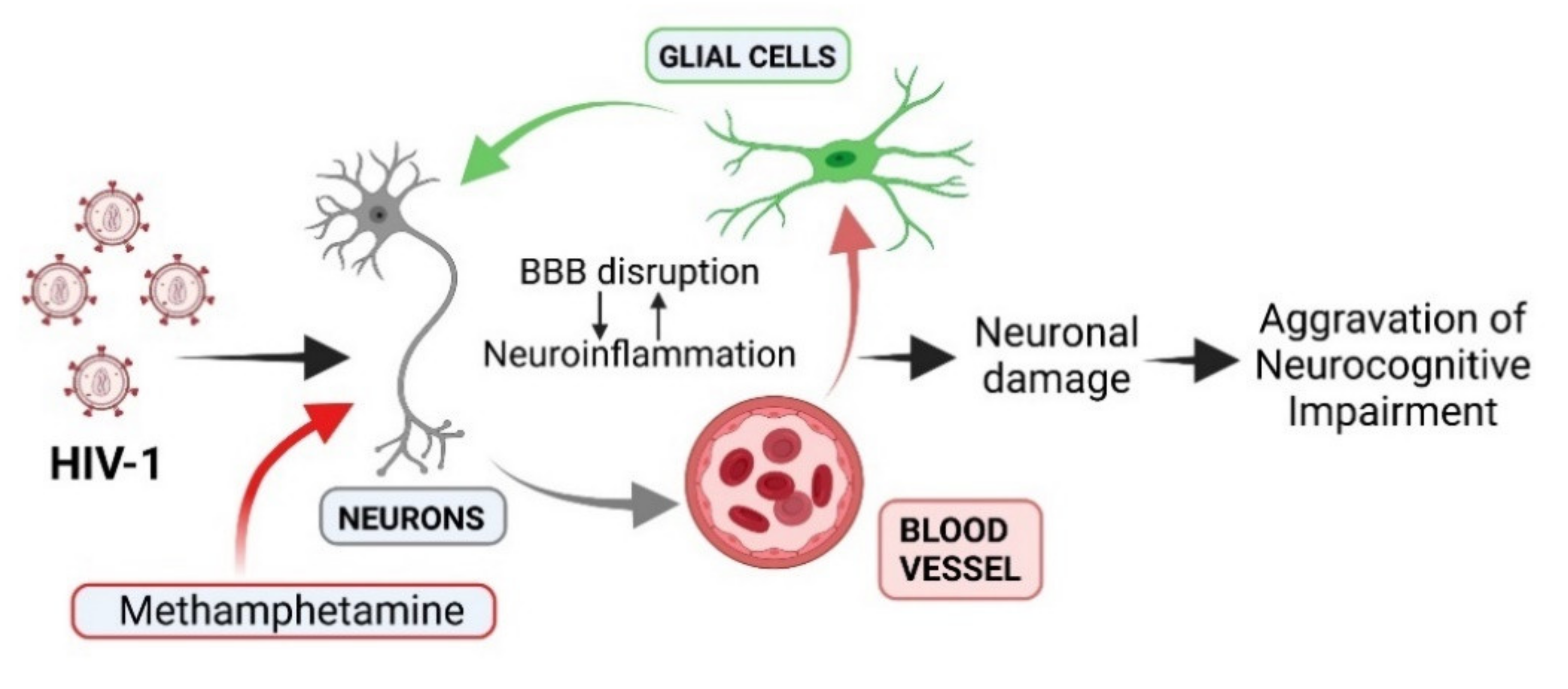 Viruses 13 01883 g001 Viruses 13 01883 g001
