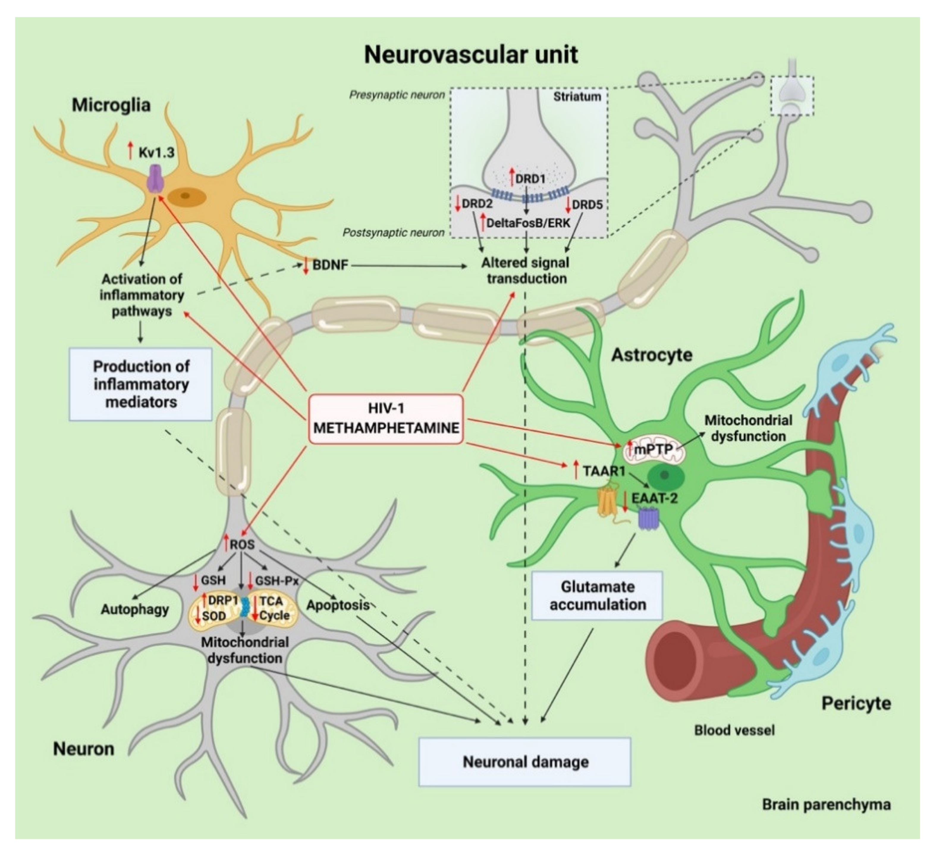 Viruses 13 01883 g003 Viruses 13 01883 g003