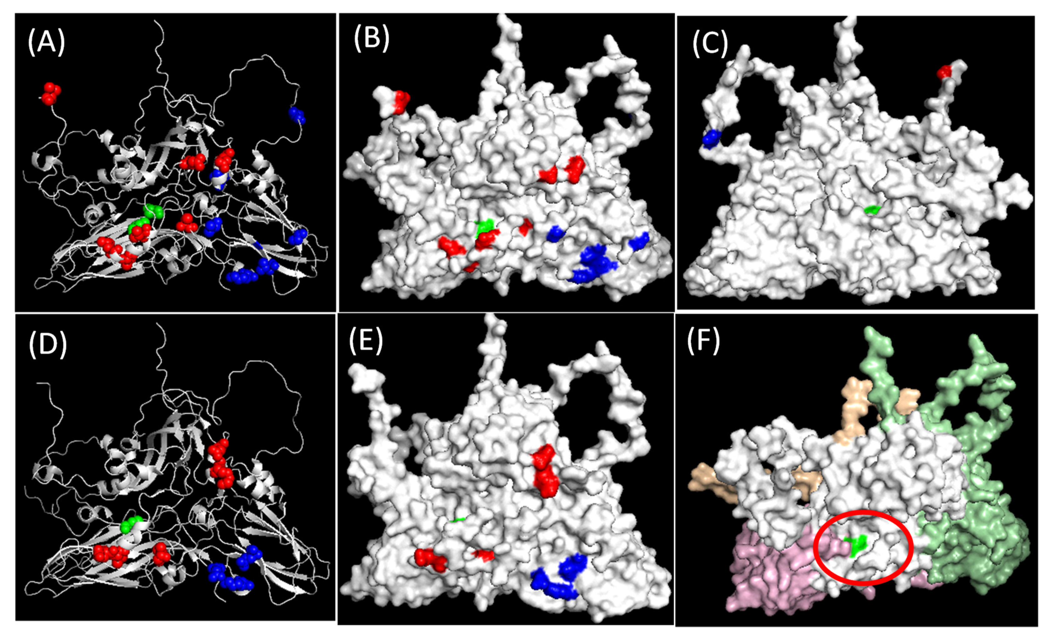 Viruses 13 01886 g003 Viruses 13 01886 g003