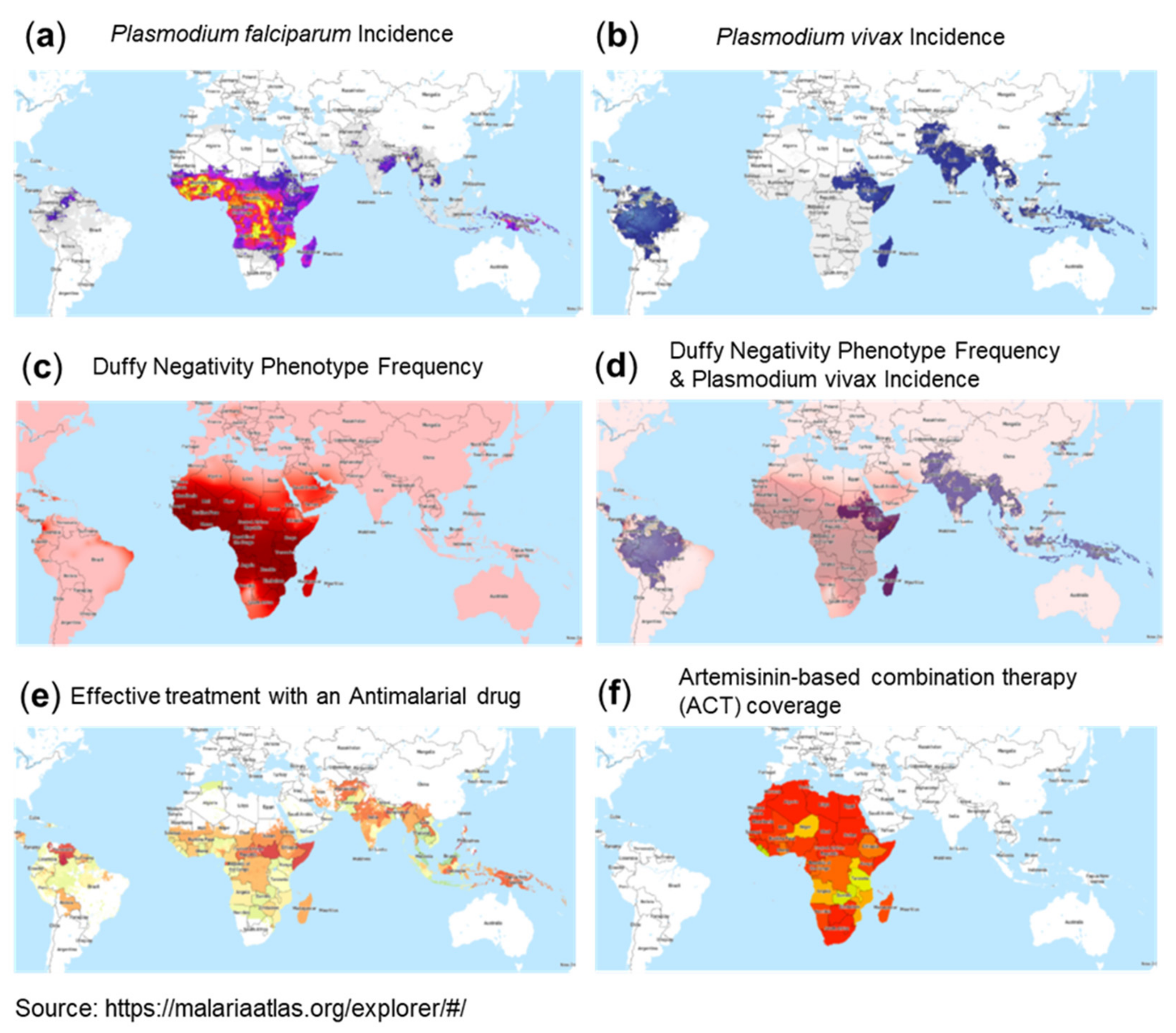 Viruses 13 01887 g004 550