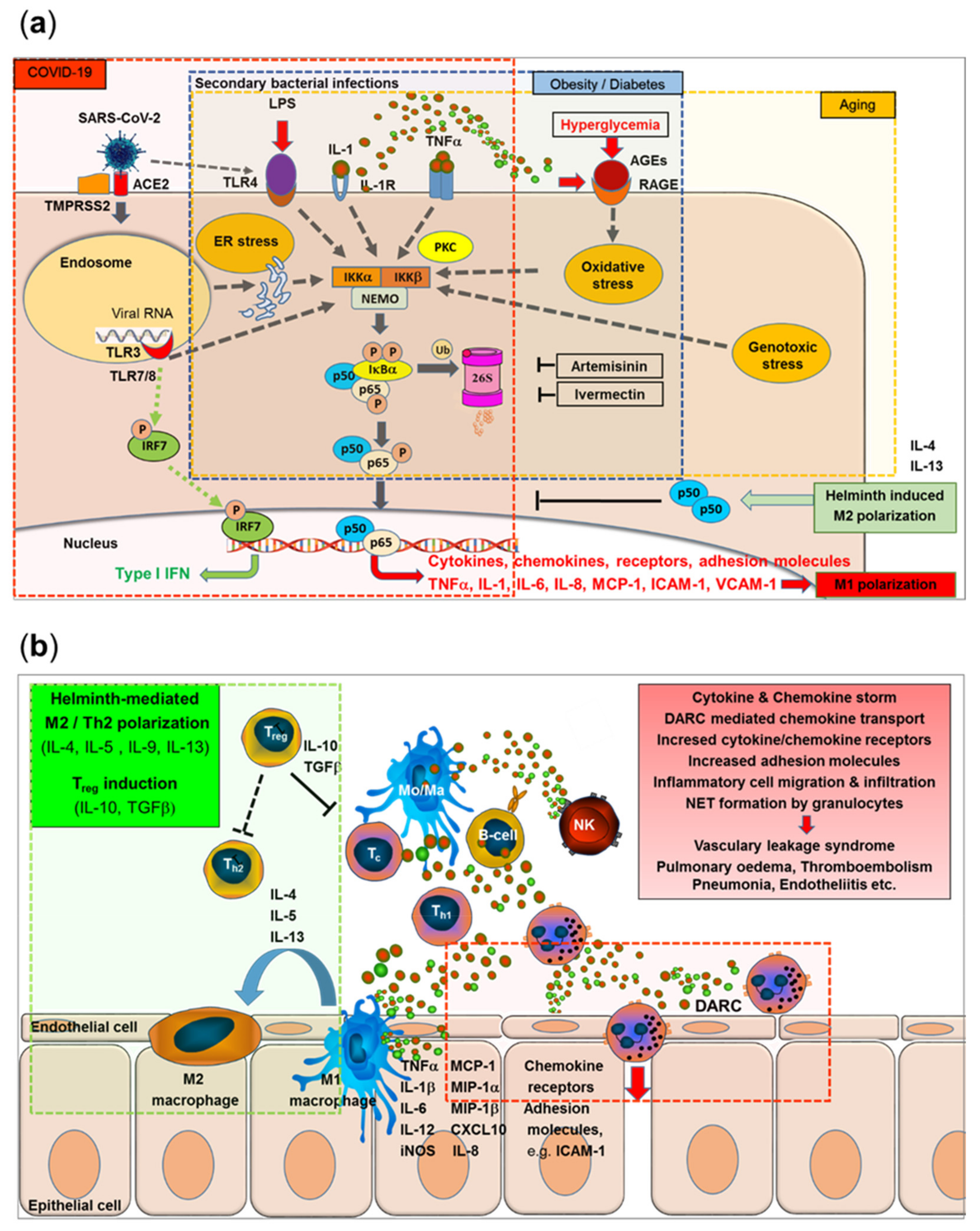 Viruses 13 01887 g005 550