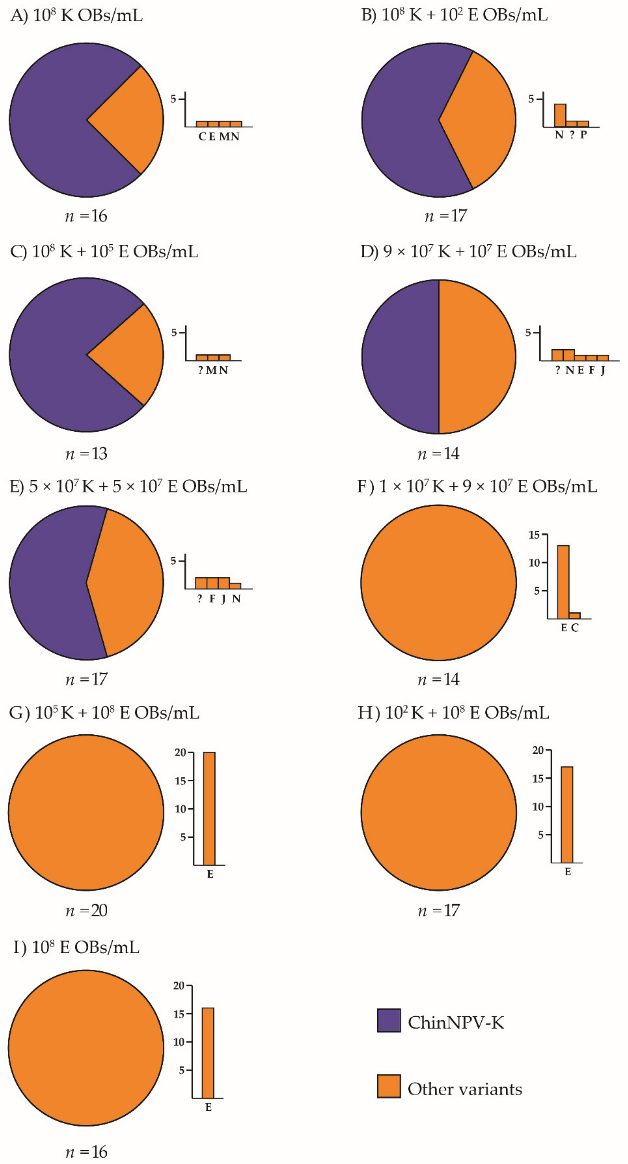 Viruses 13 01895 g003 550