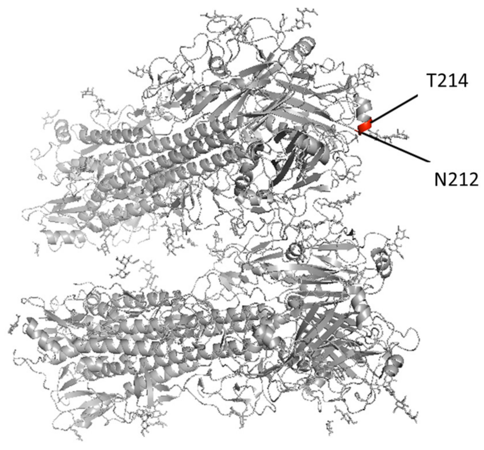 Viruses 13 01896 g002