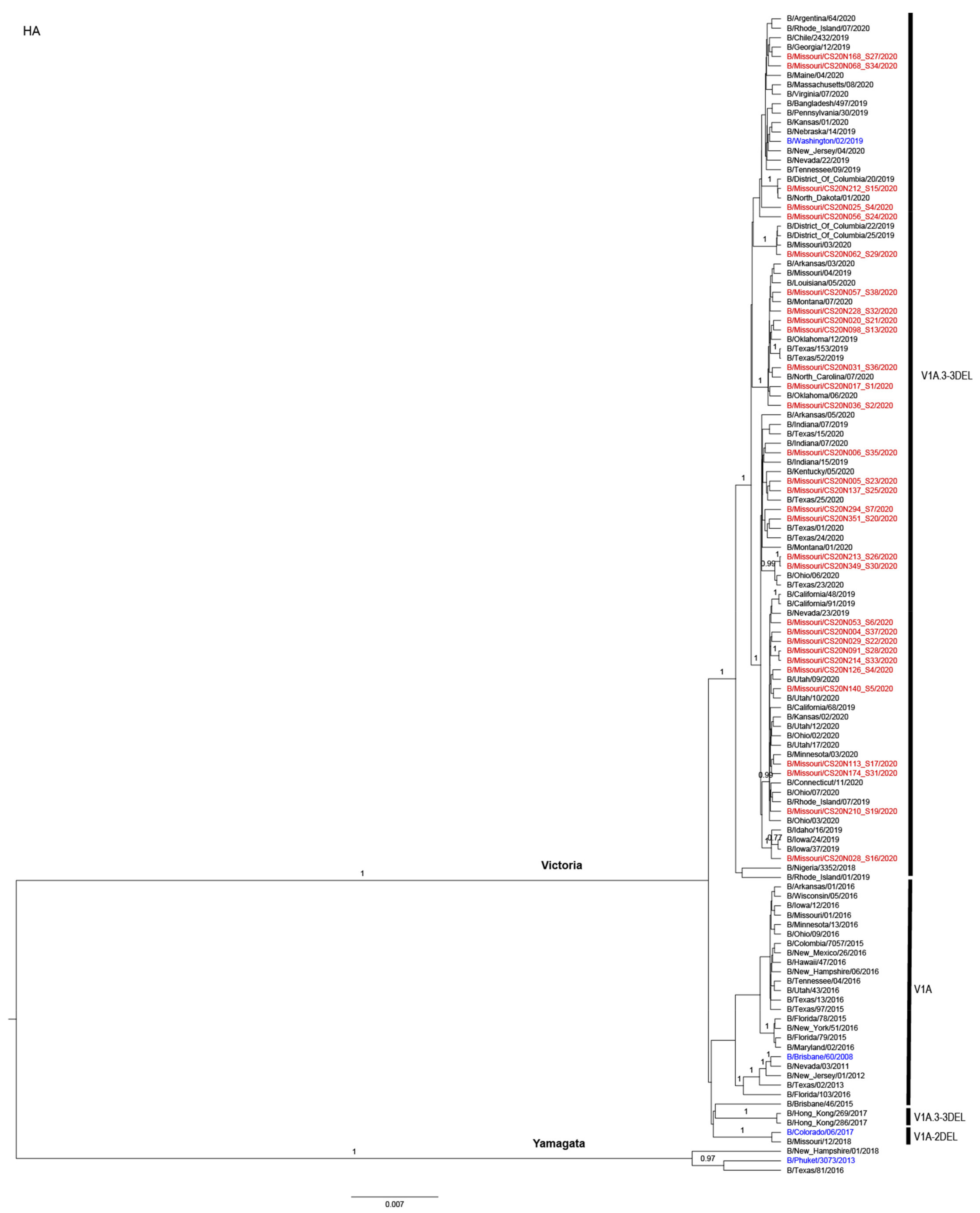 Viruses 13 01896 g003