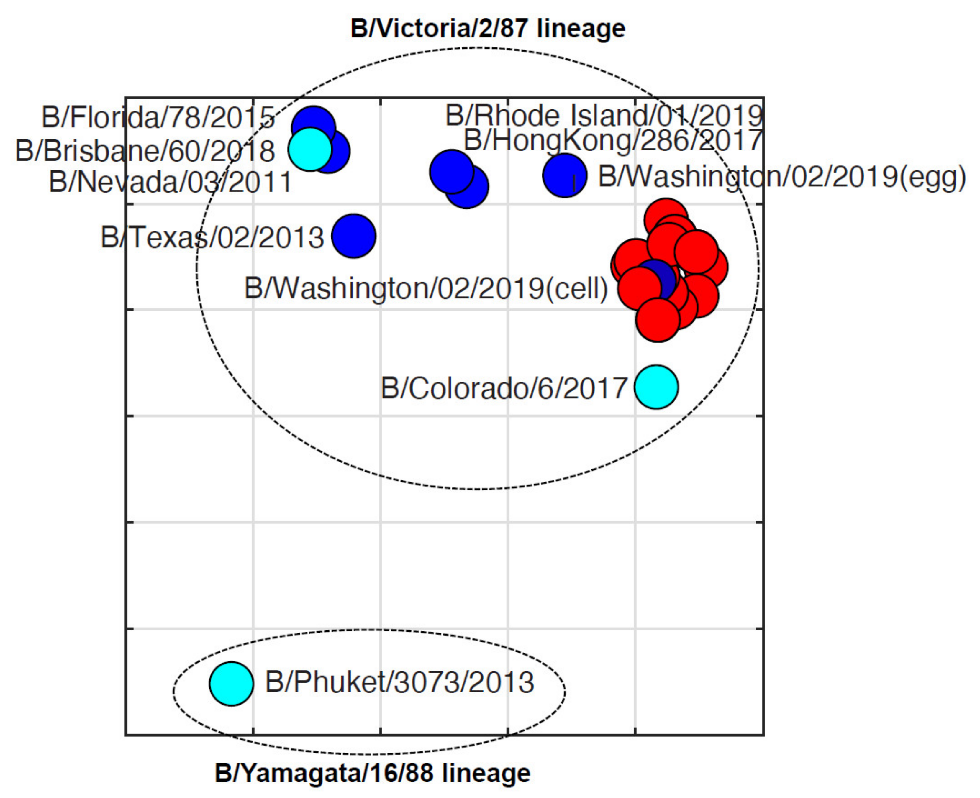 Viruses 13 01896 g004