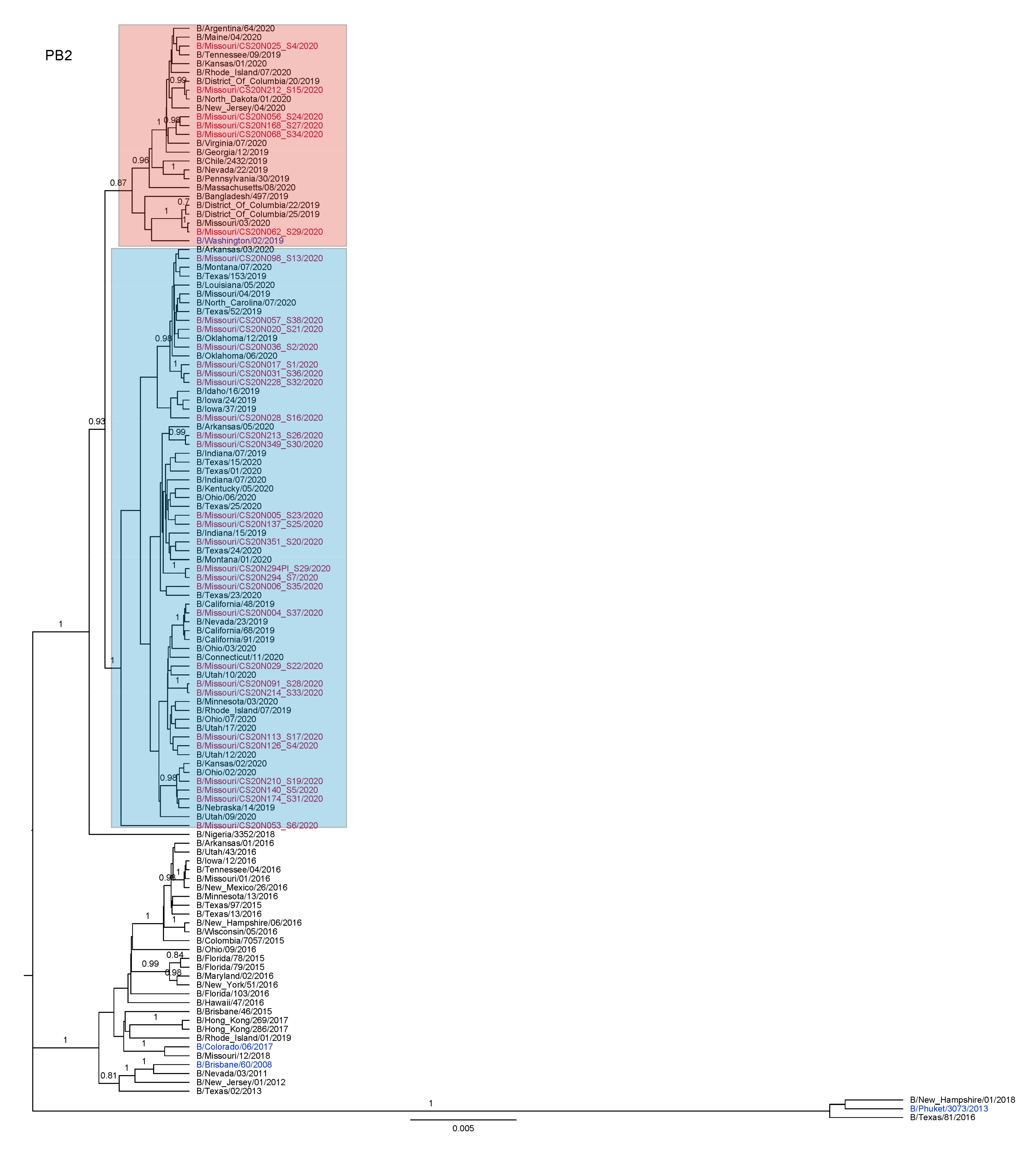Viruses 13 01896 g0a1