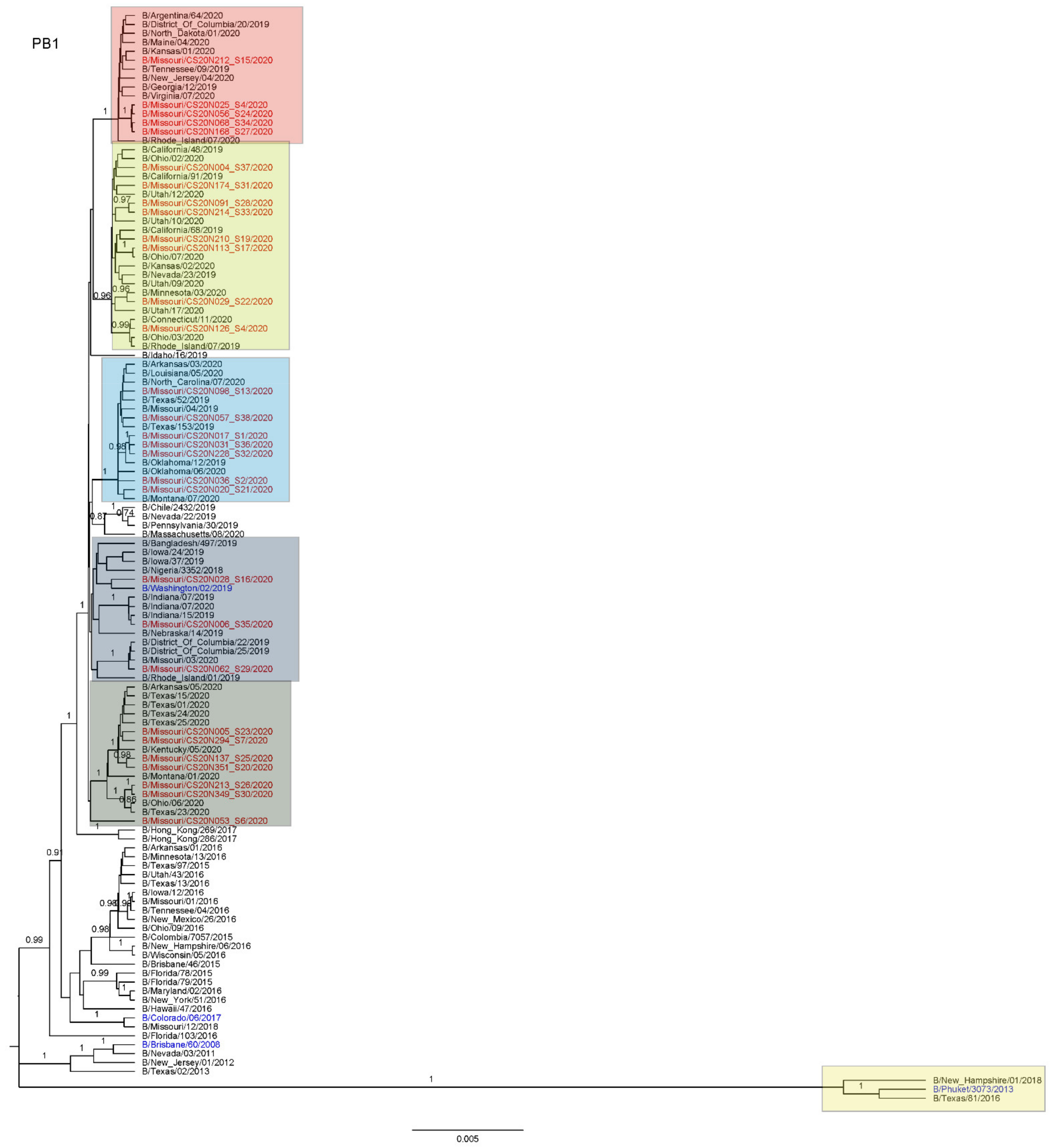 Viruses 13 01896 g0a2
