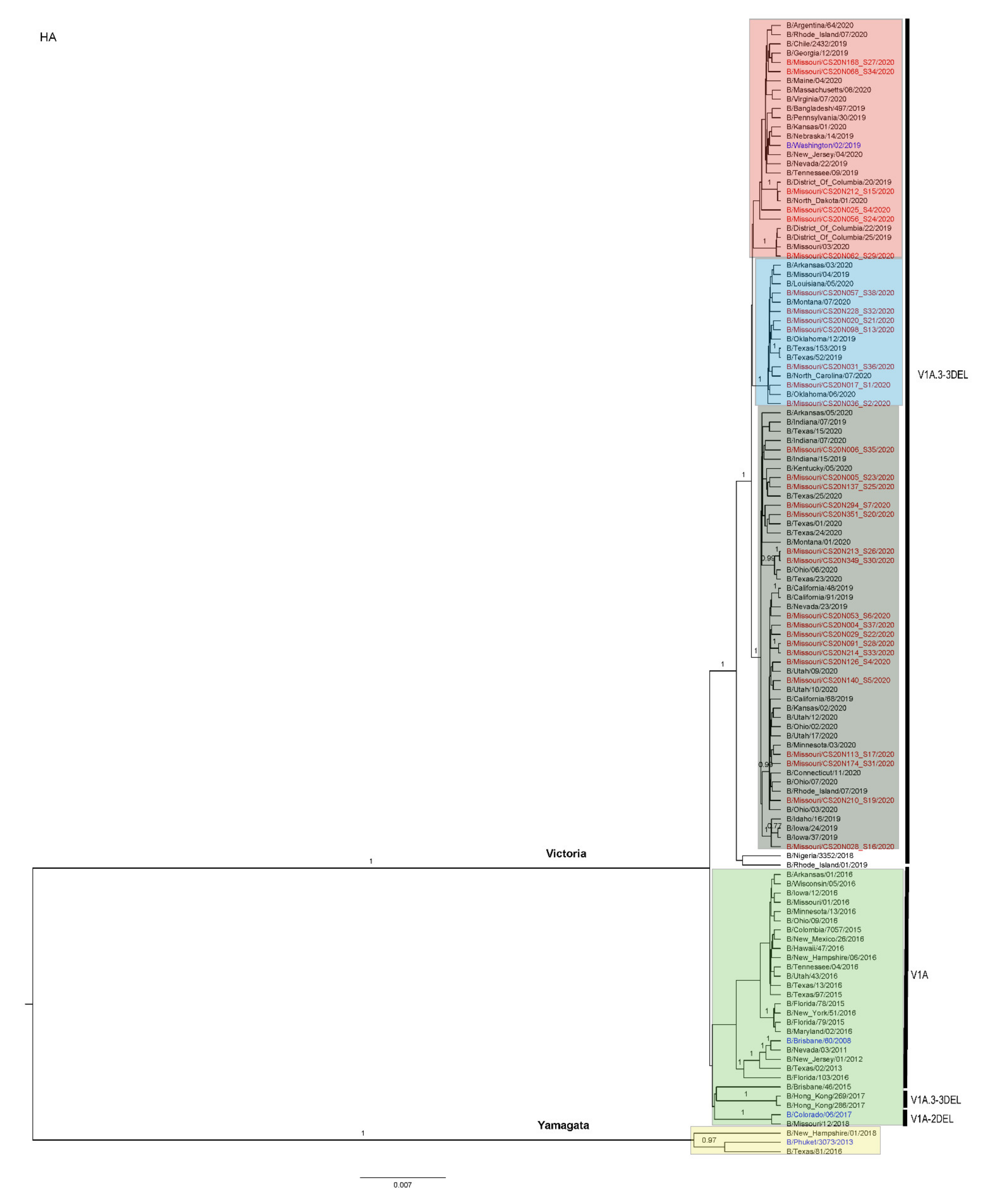 Viruses 13 01896 g0a4