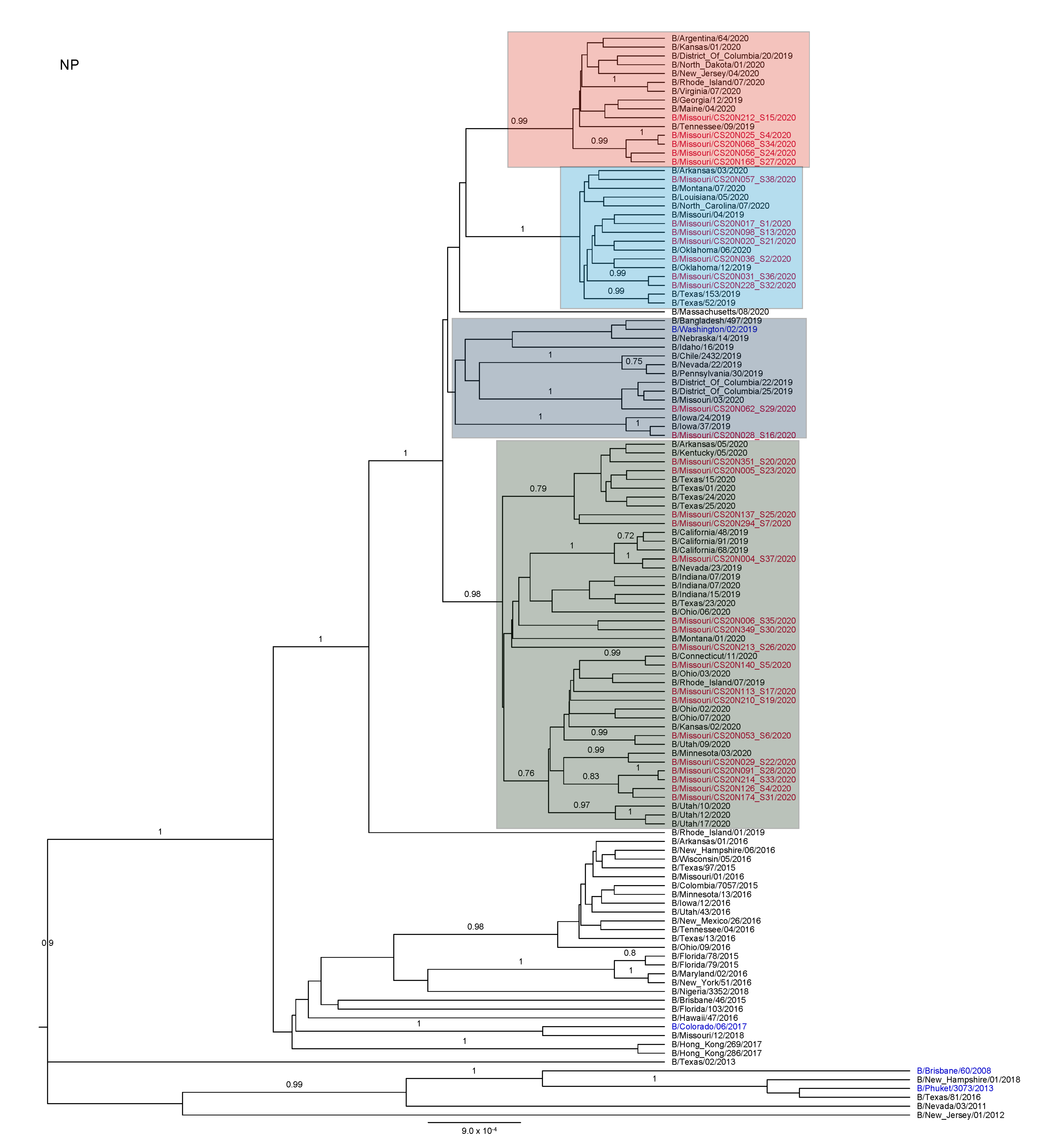 Viruses 13 01896 g0a5