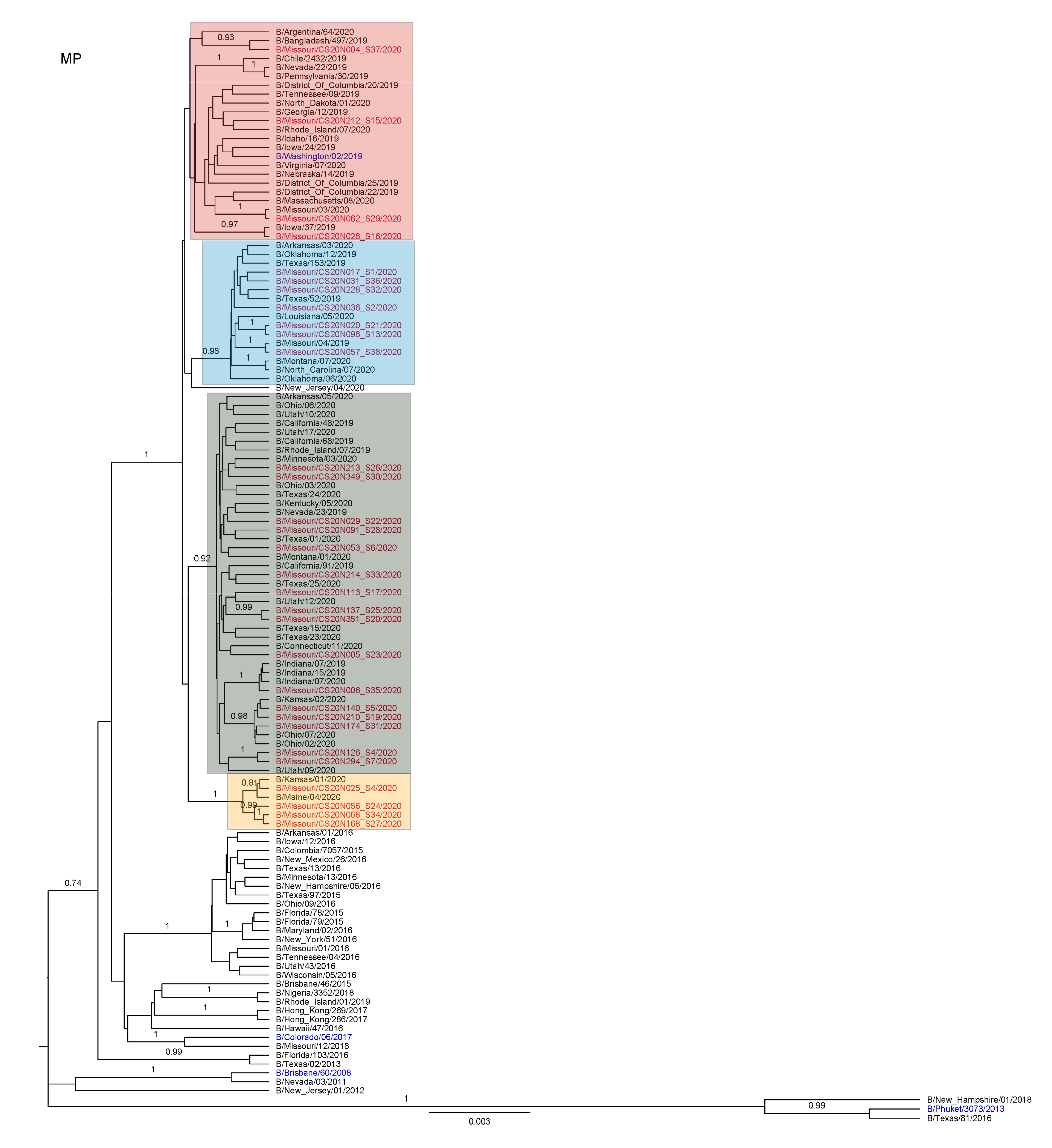 Viruses 13 01896 g0a7