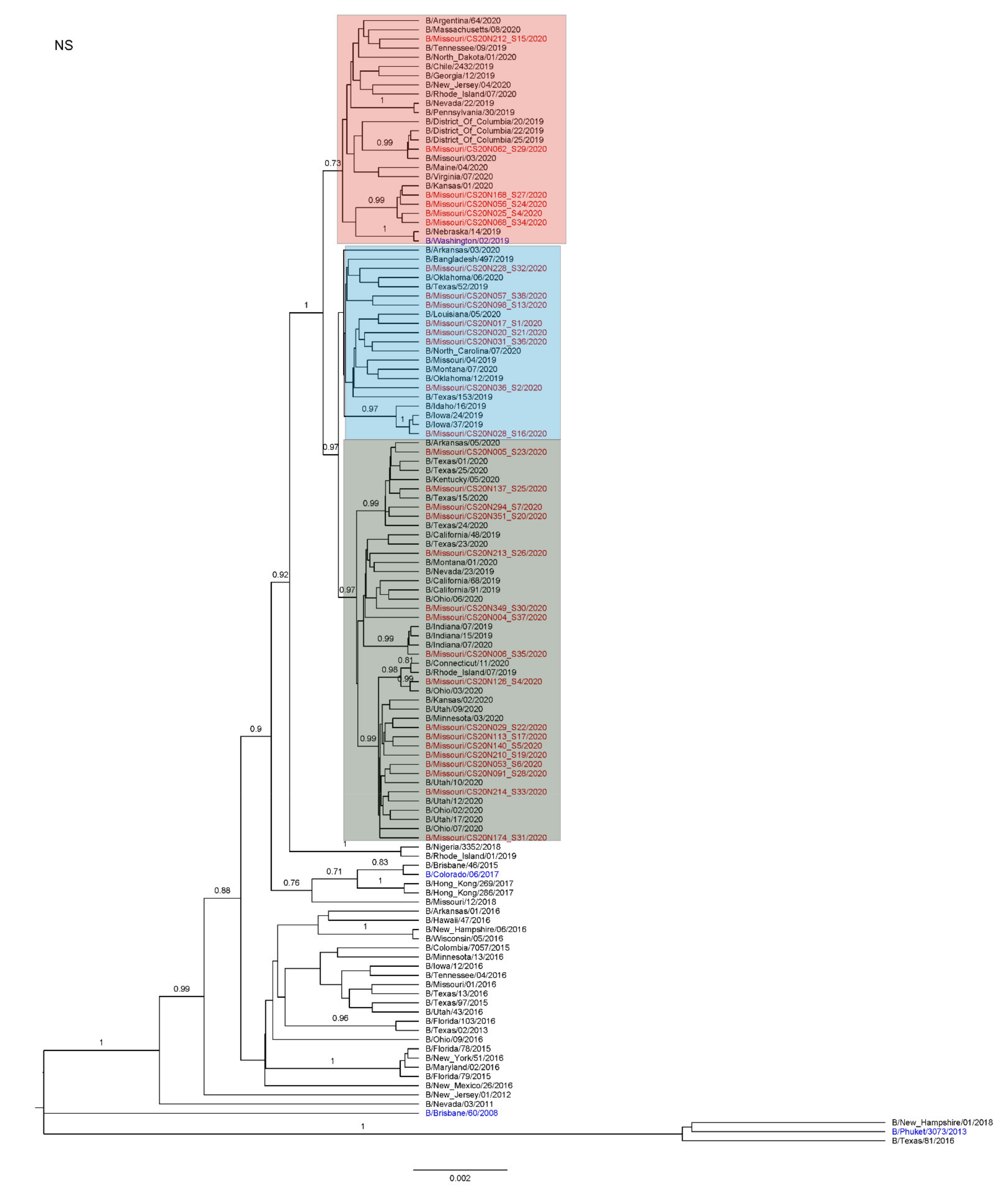 Viruses 13 01896 g0a8