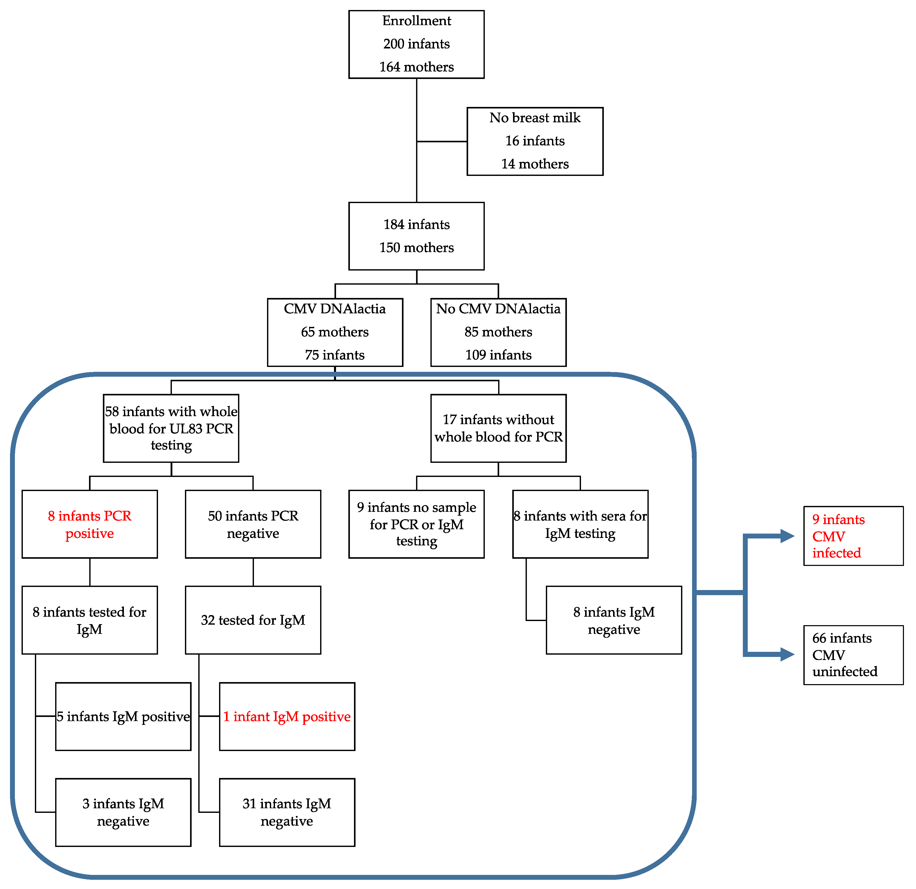 Viruses 13 01897 g001