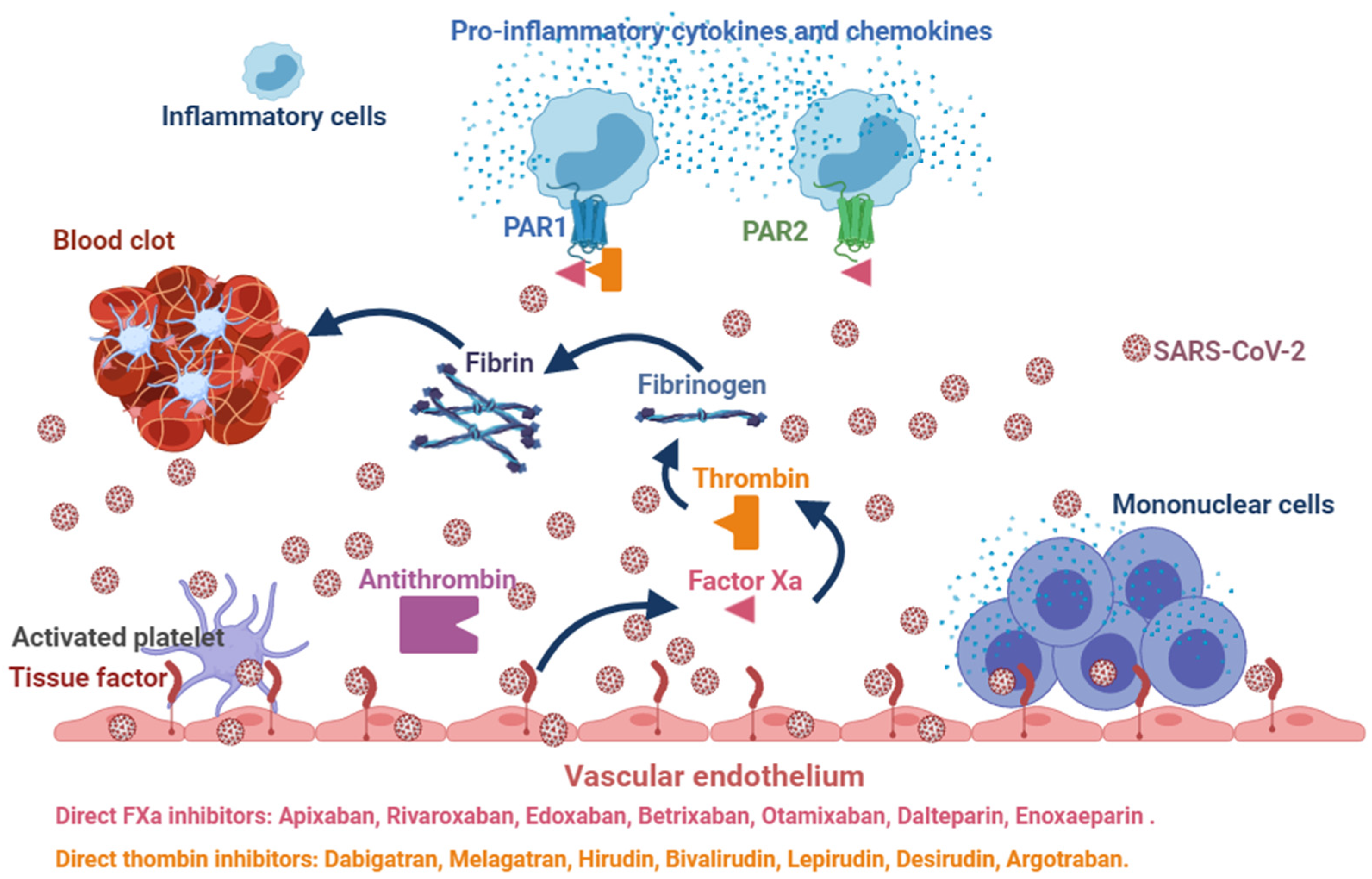 Viruses 13 01904 g001
