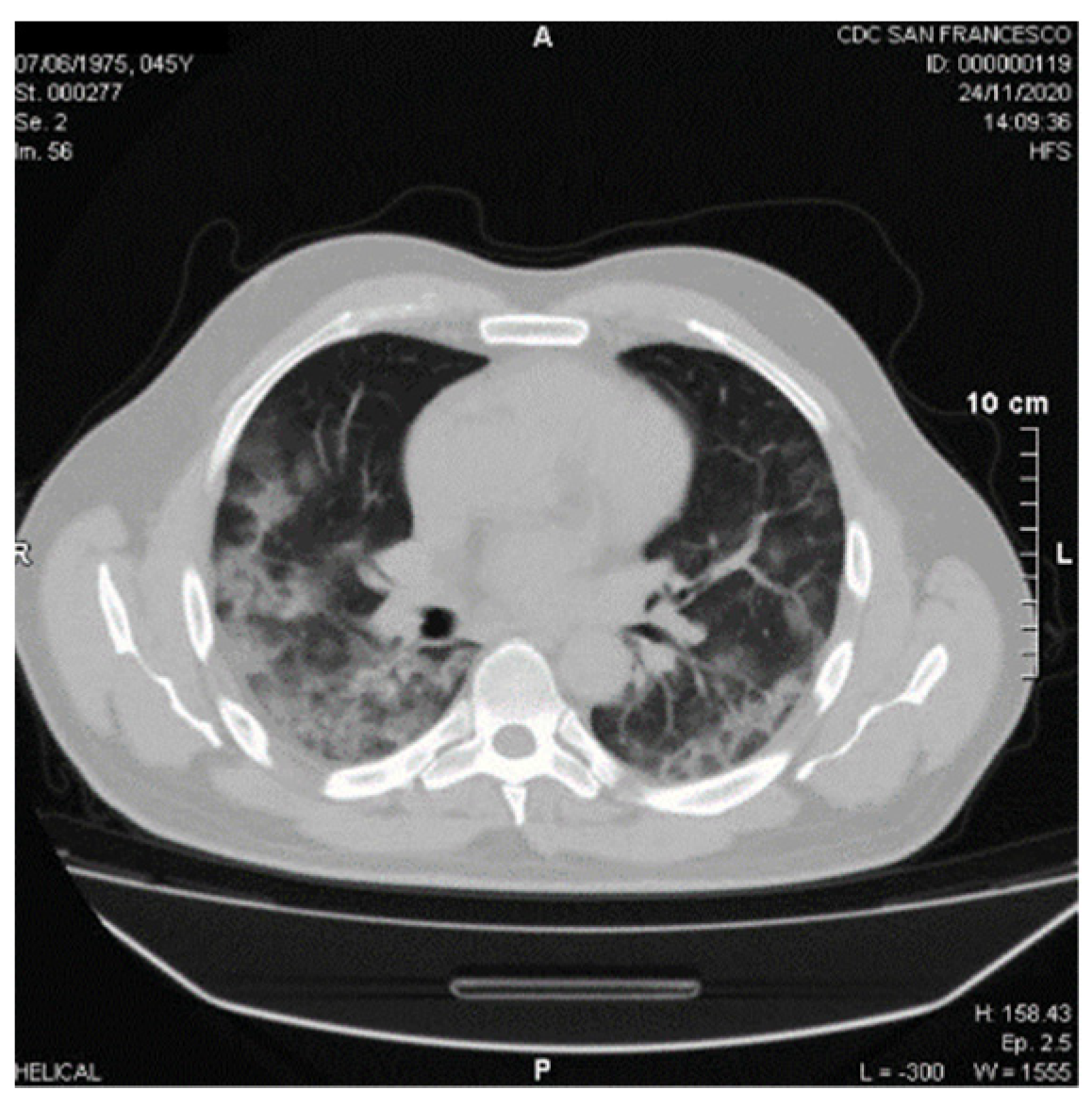 Viruses 13 01904 g002