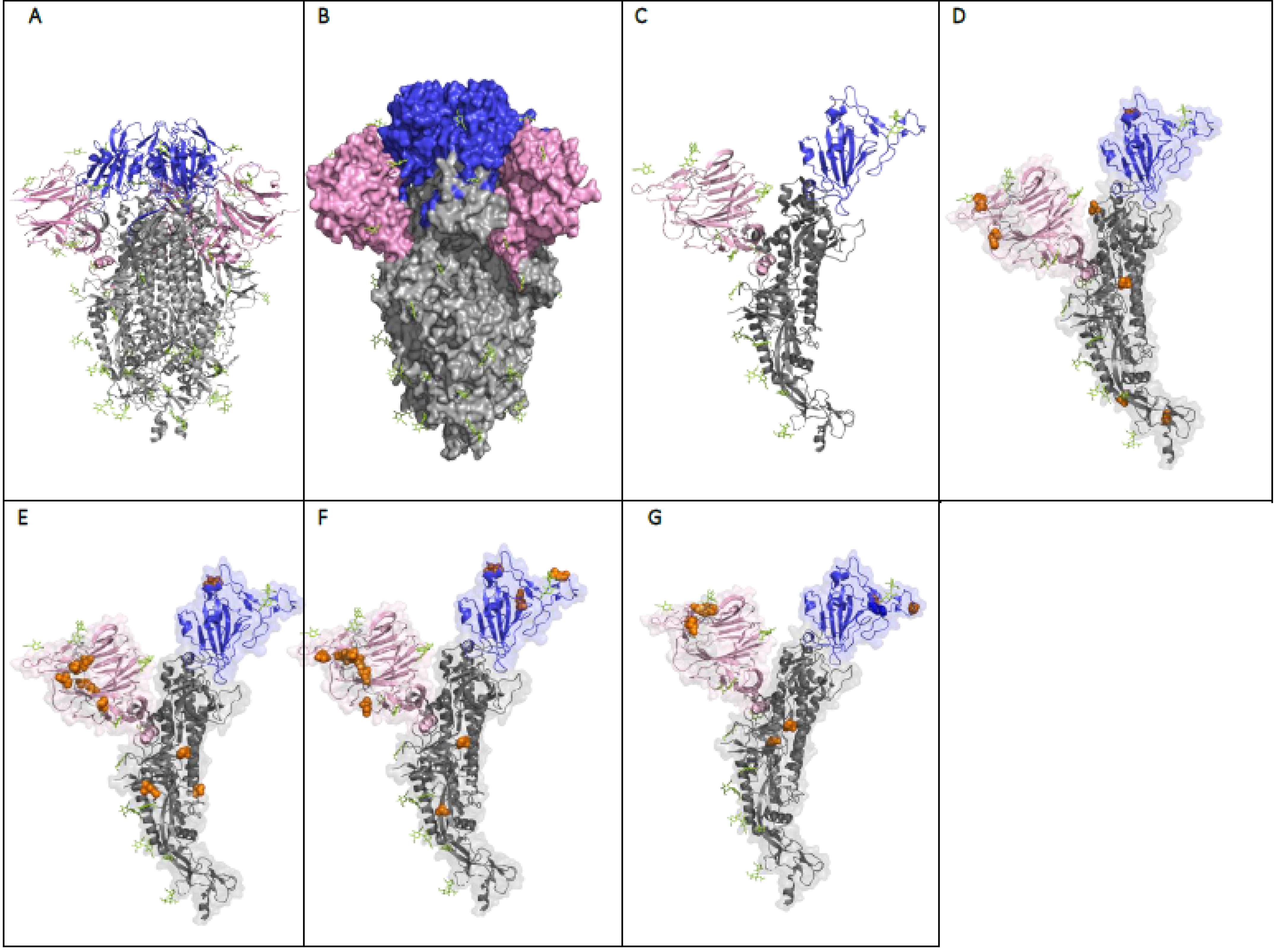 Viruses 13 01911 g004