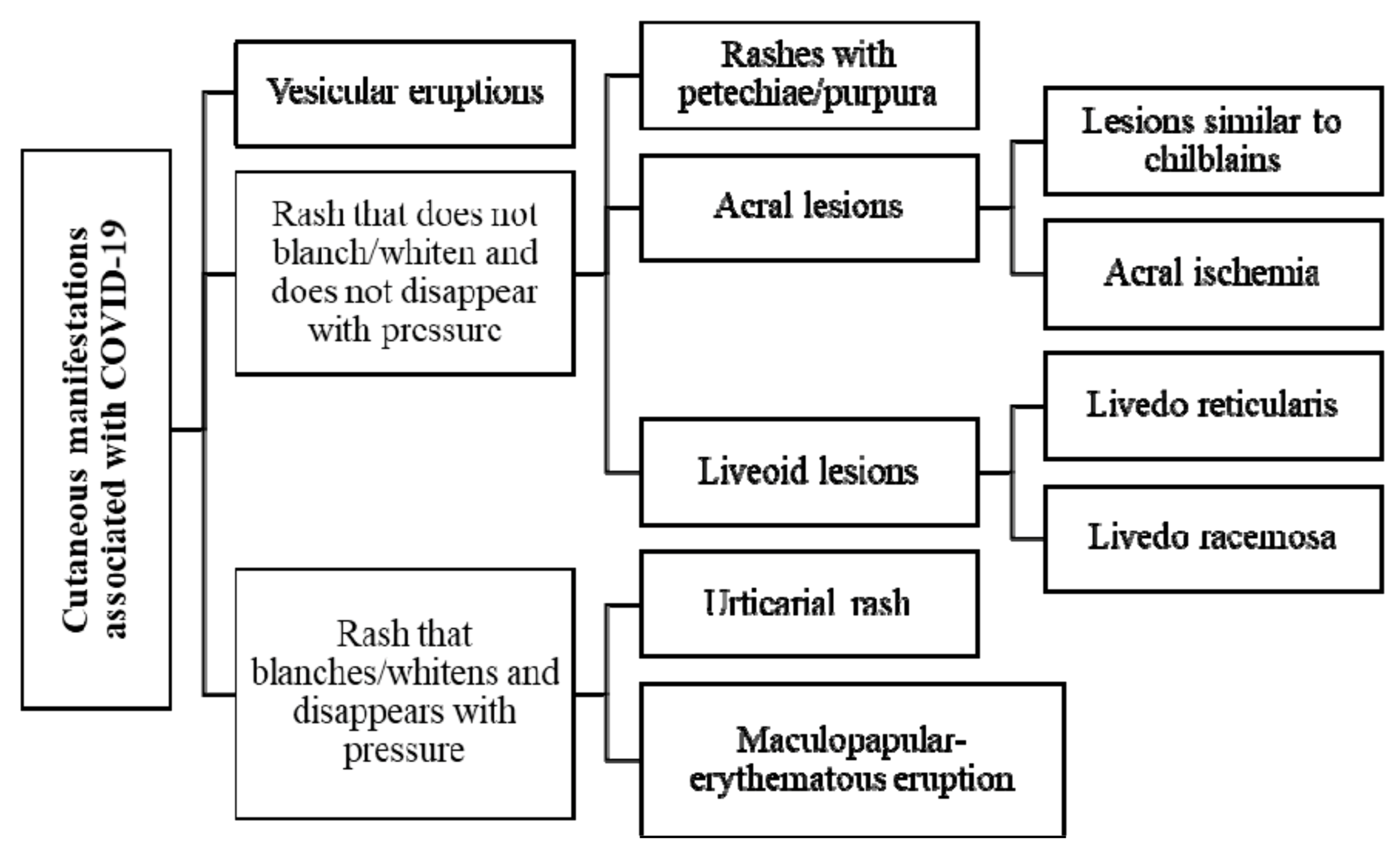 Viruses 13 01916 g001