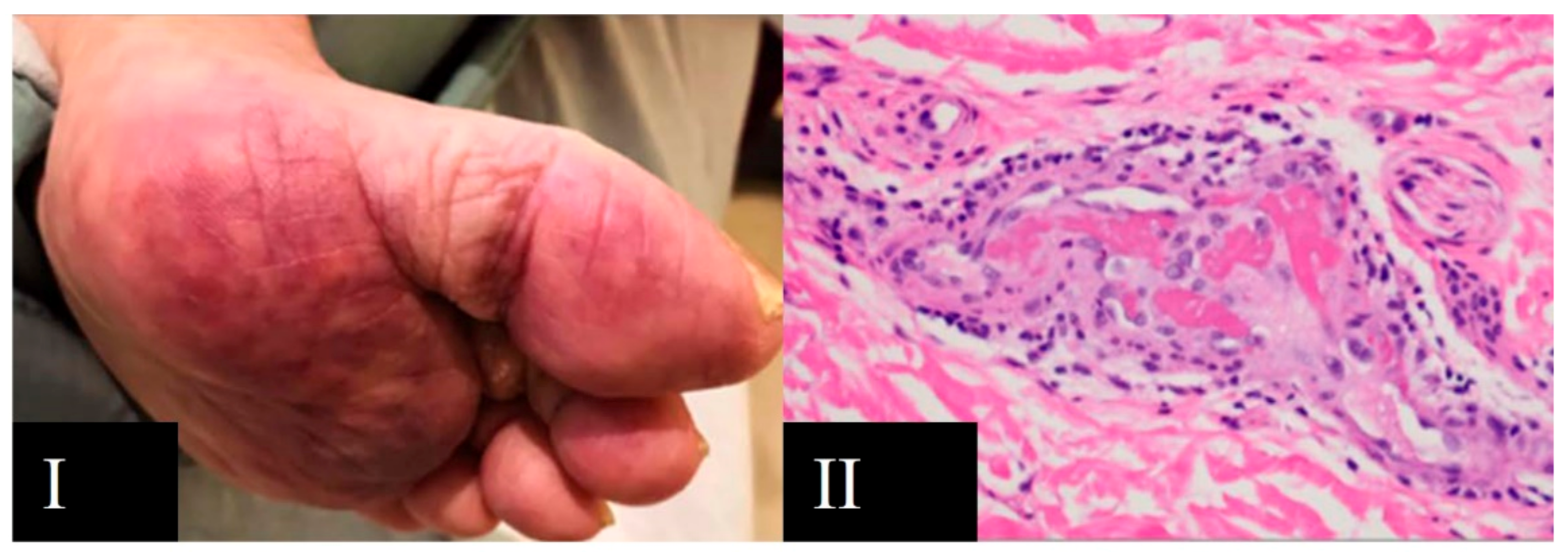 Viruses 13 01916 g005