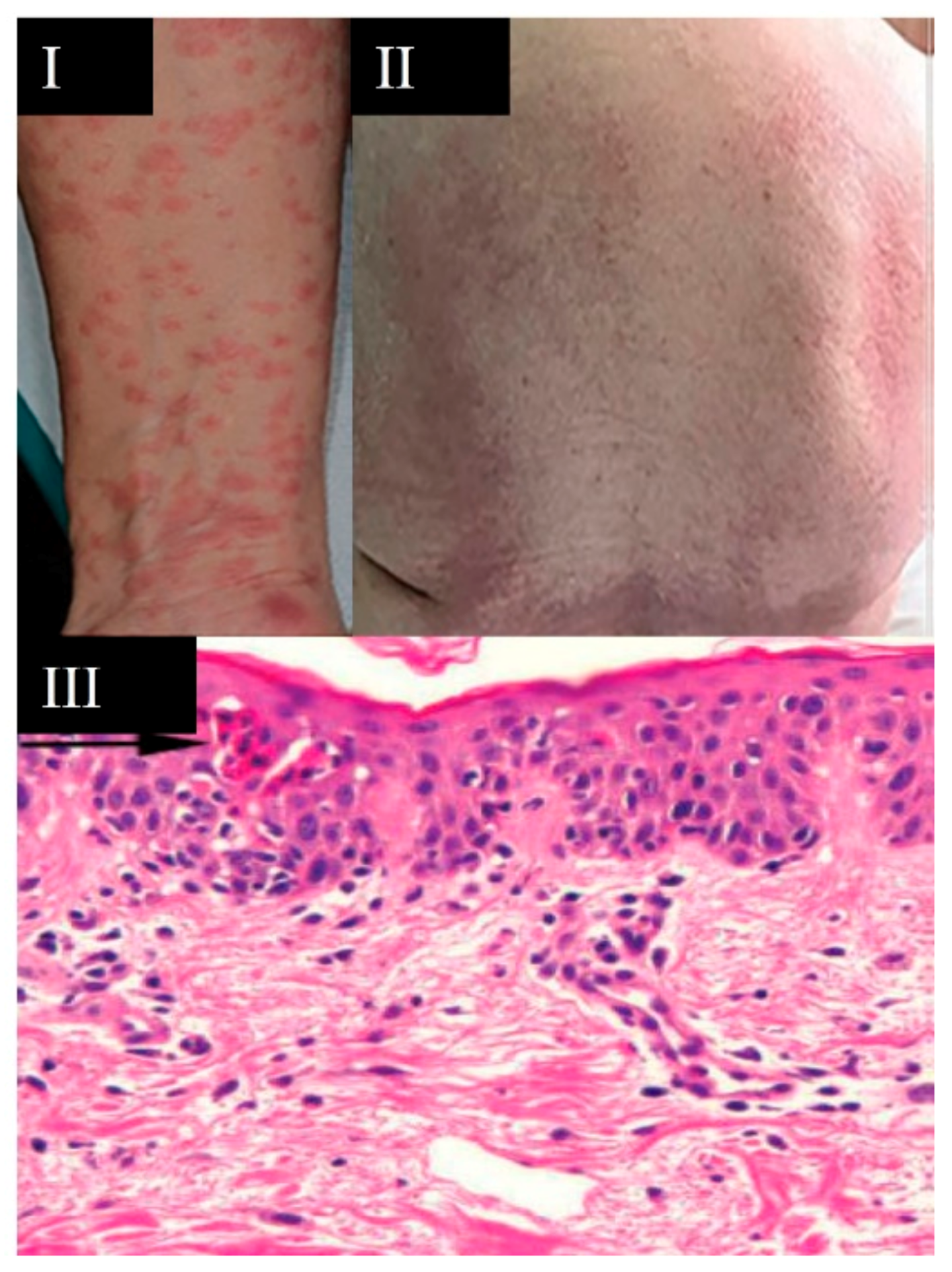 Viruses 13 01916 g008