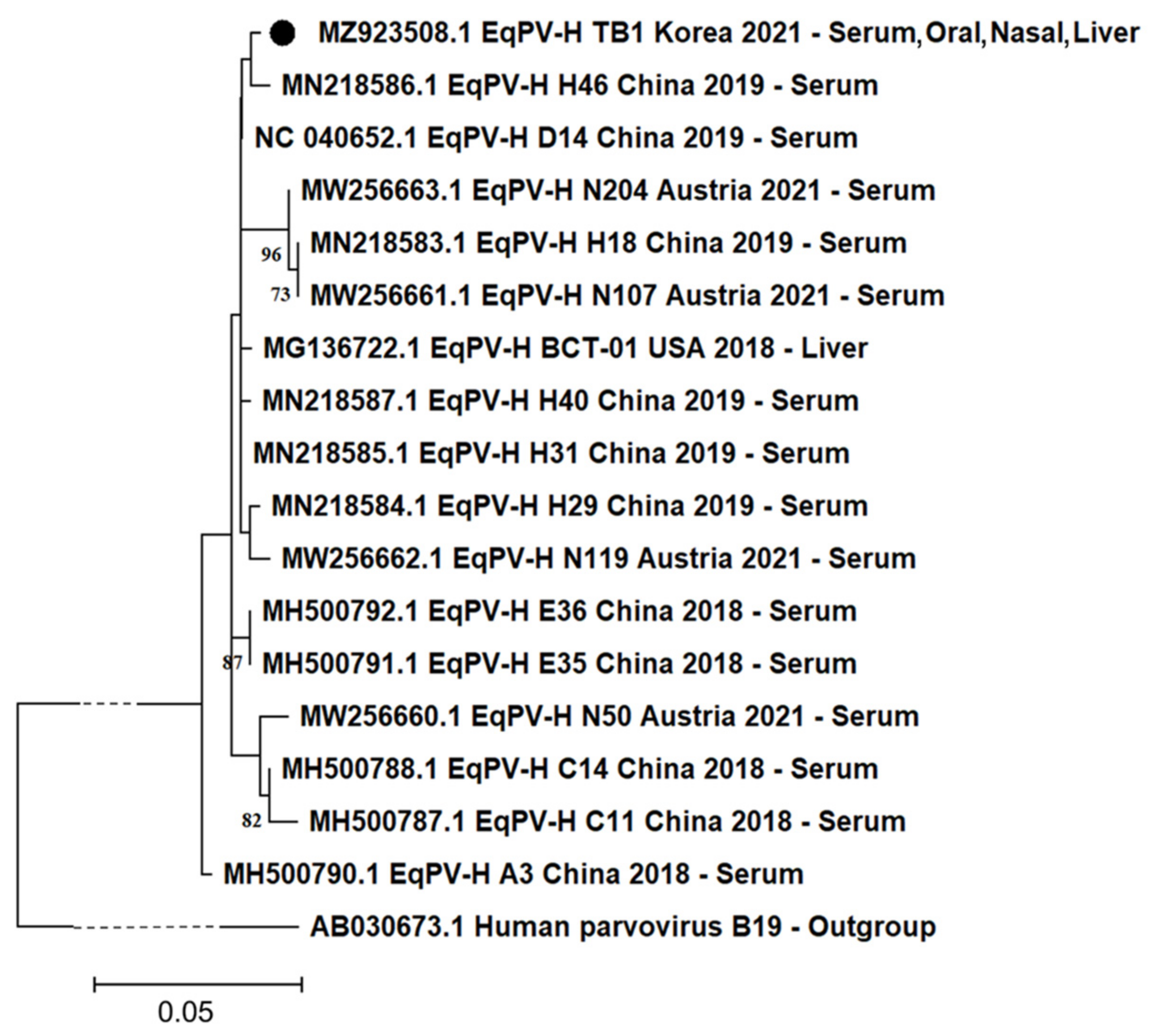 Viruses 13 01917 g002 550