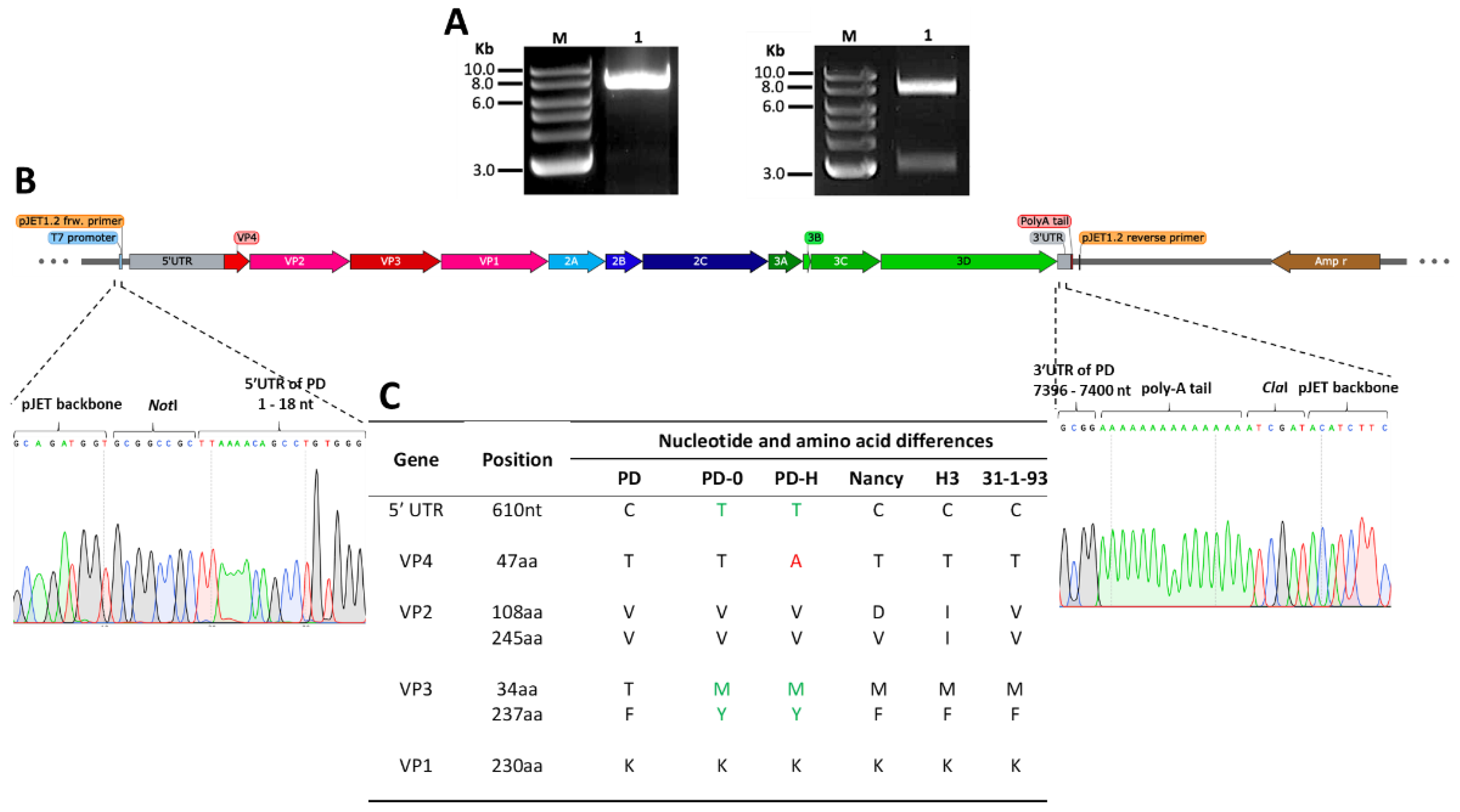 Viruses 13 01918 g001
