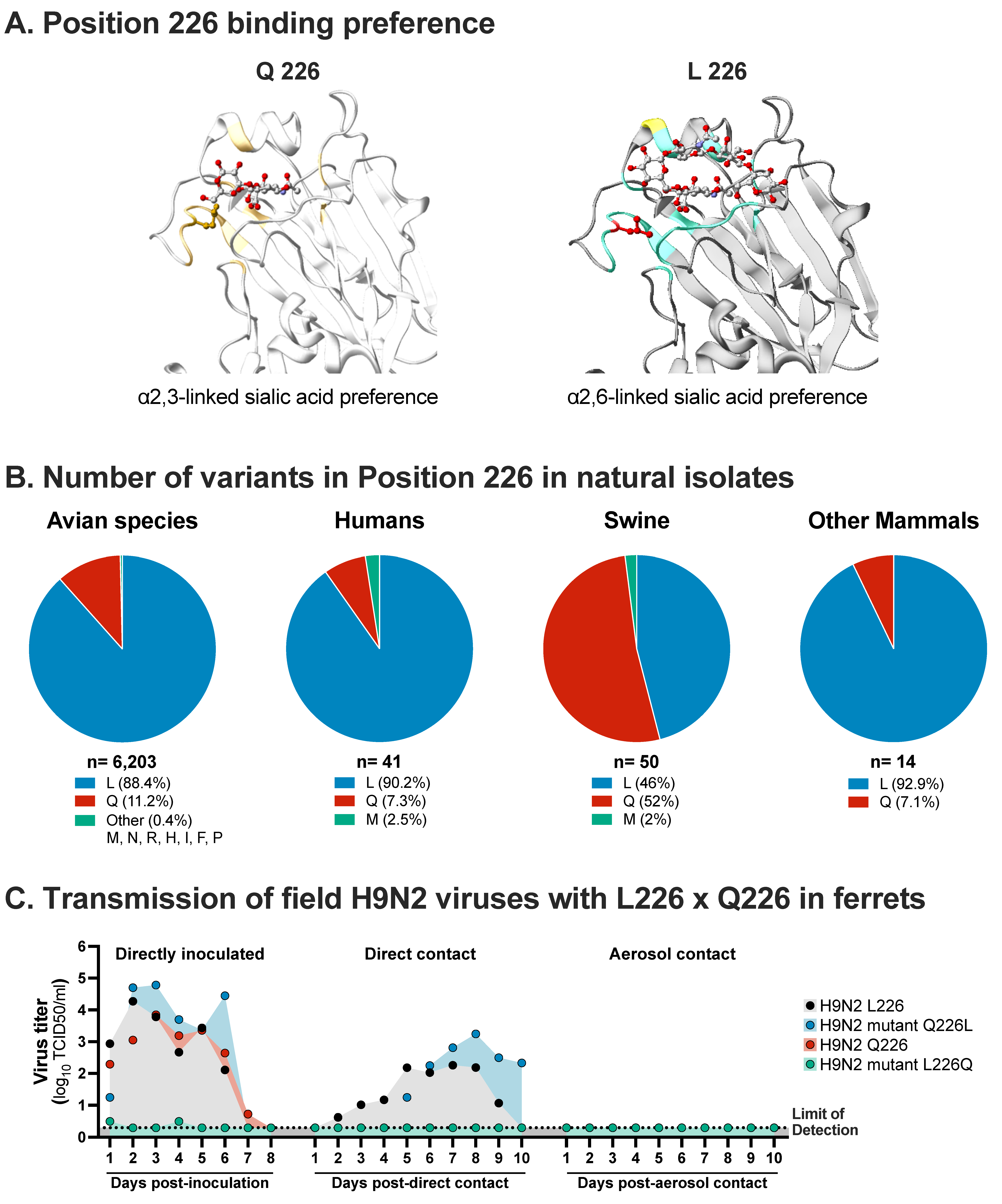 Viruses Free Full Text Airborne Transmission Of Avian Origin H9n2 Influenza A Viruses In Mammals Html