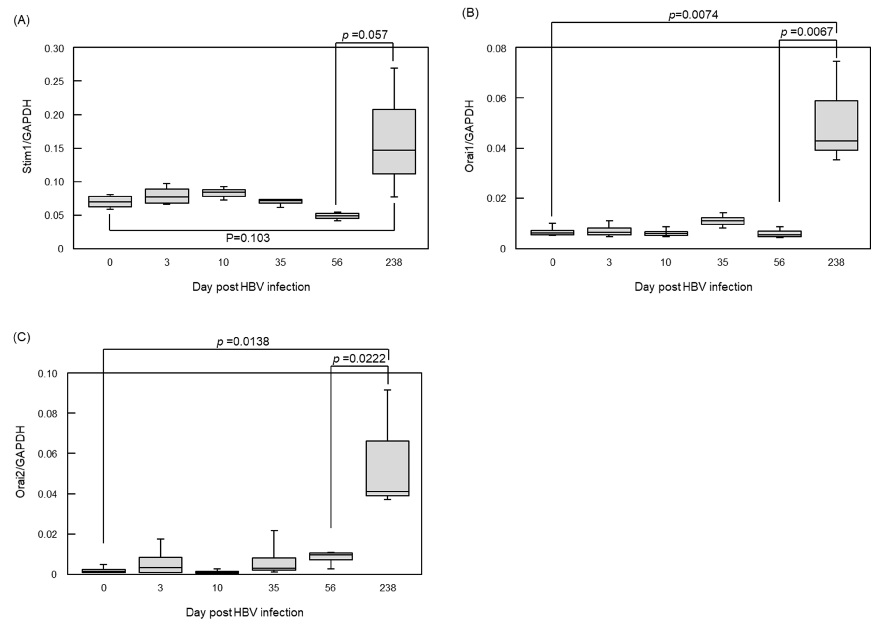 Viruses 13 01920 g002 Viruses 13 01920 g002