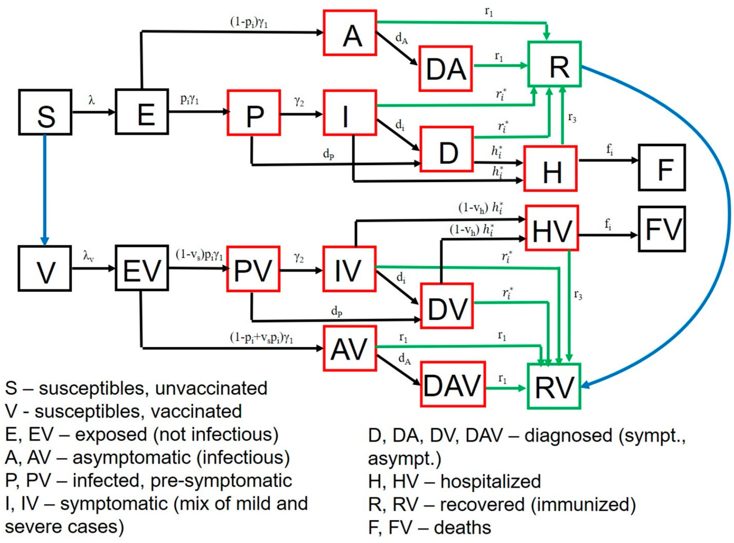 Viruses 13 01921 g002
