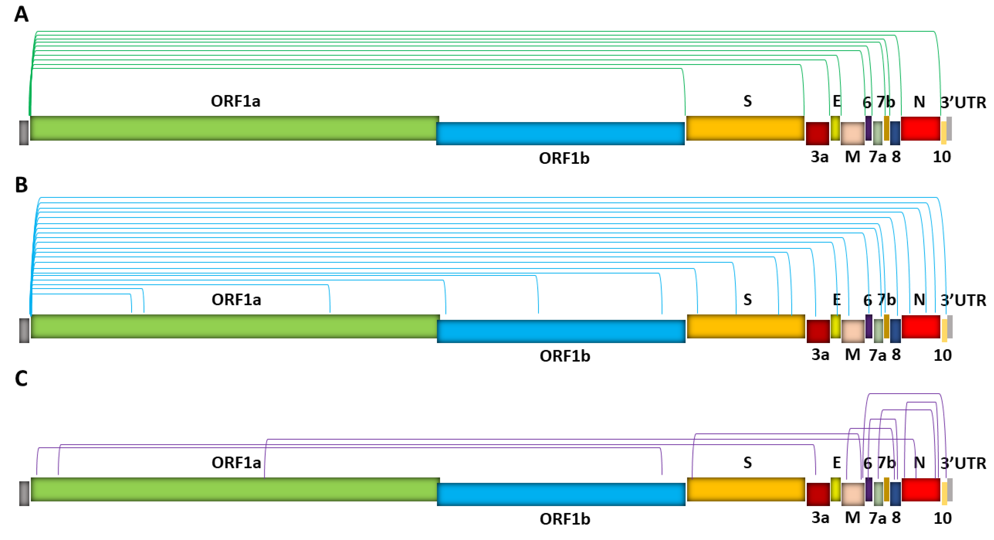 Viruses 13 01923 g003 Viruses 13 01923 g003