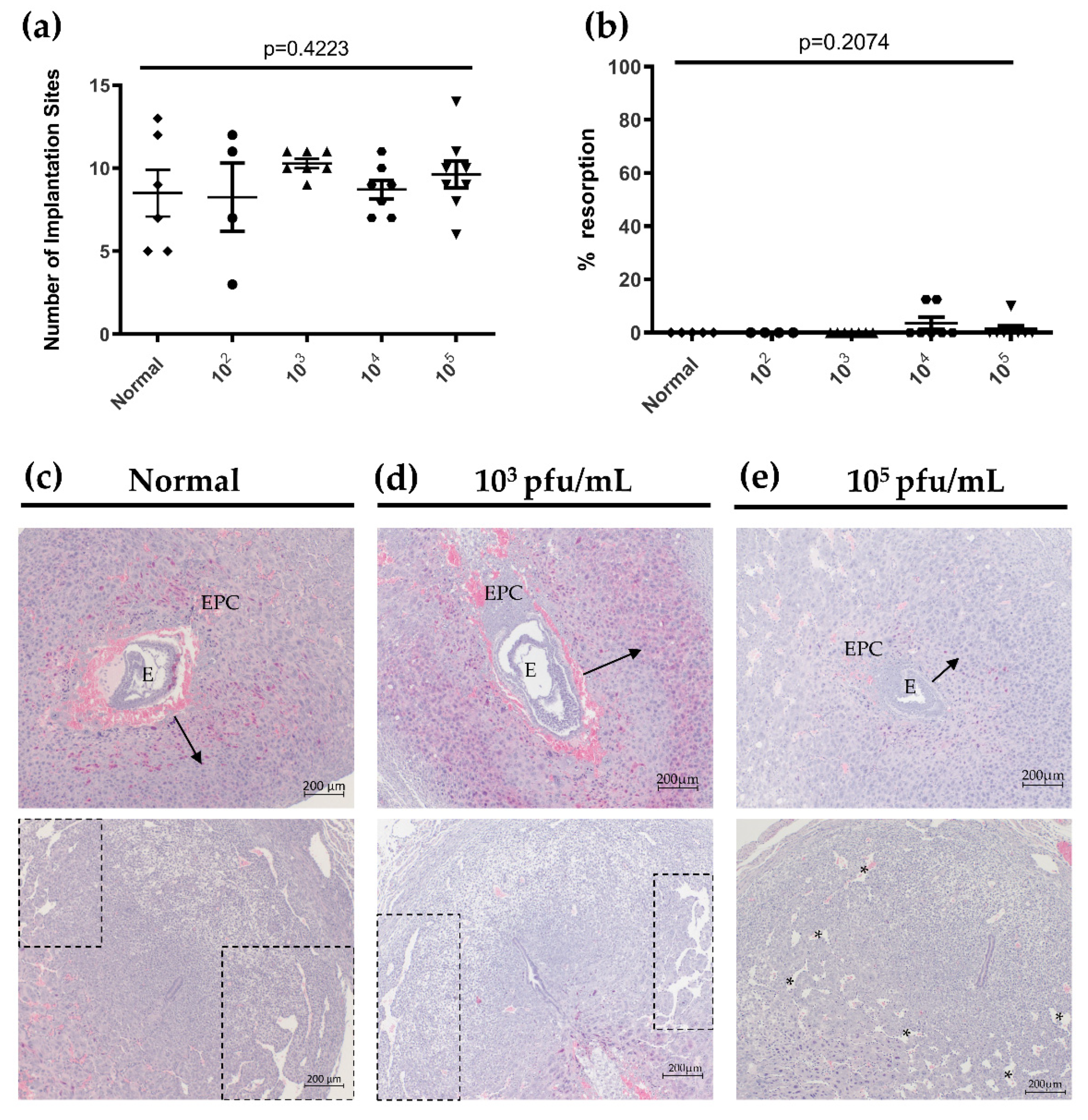 Viruses 13 01929 g004 Viruses 13 01929 g004