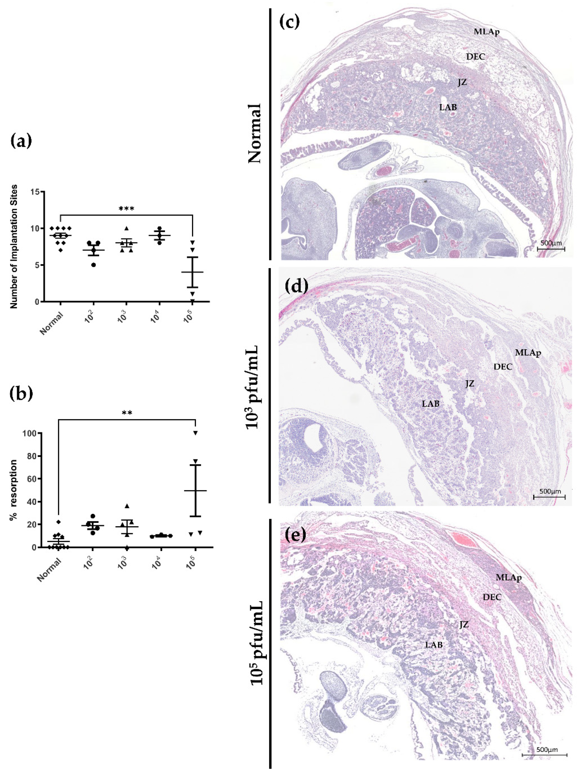 Viruses 13 01929 g005 Viruses 13 01929 g005