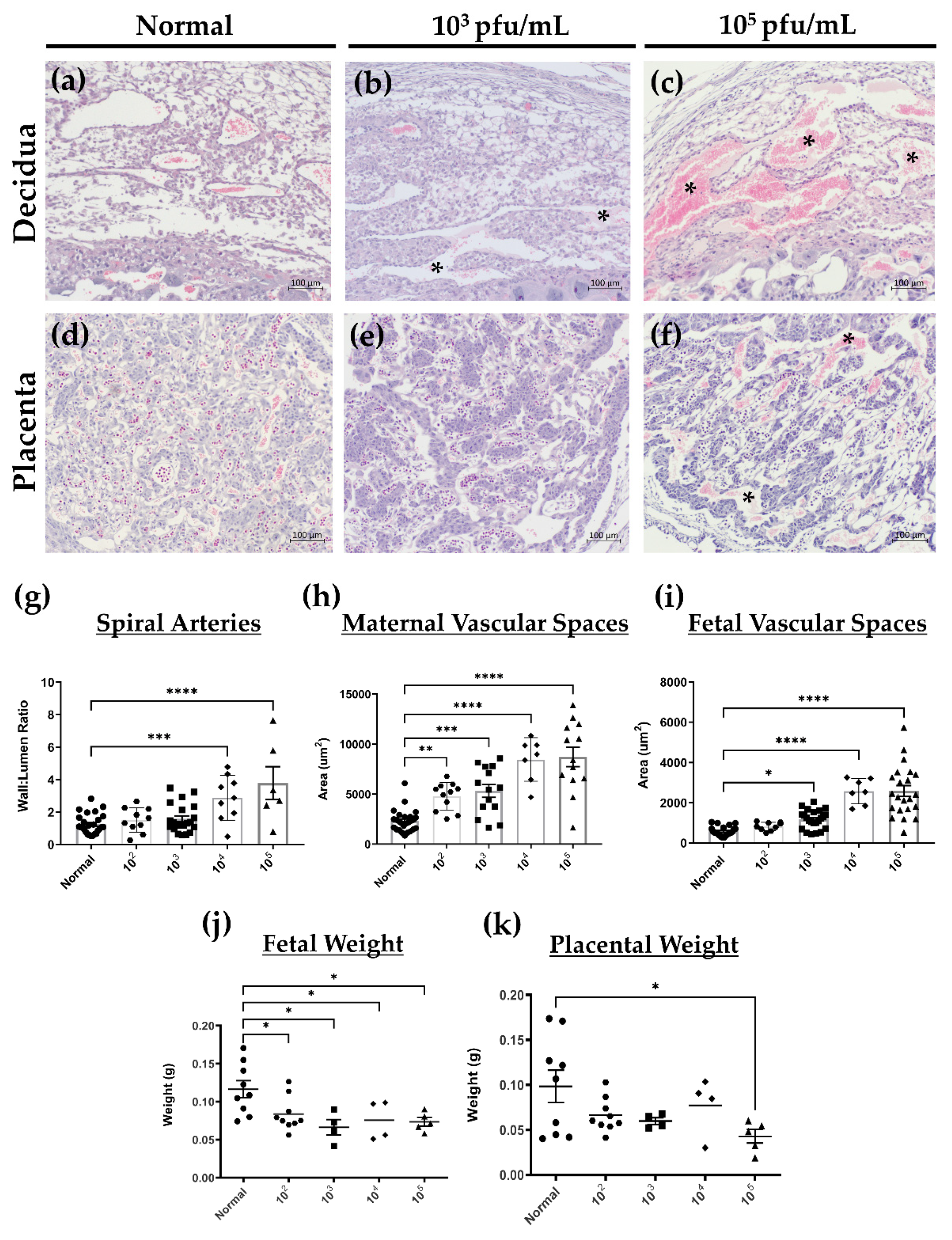 Viruses 13 01929 g006 Viruses 13 01929 g006
